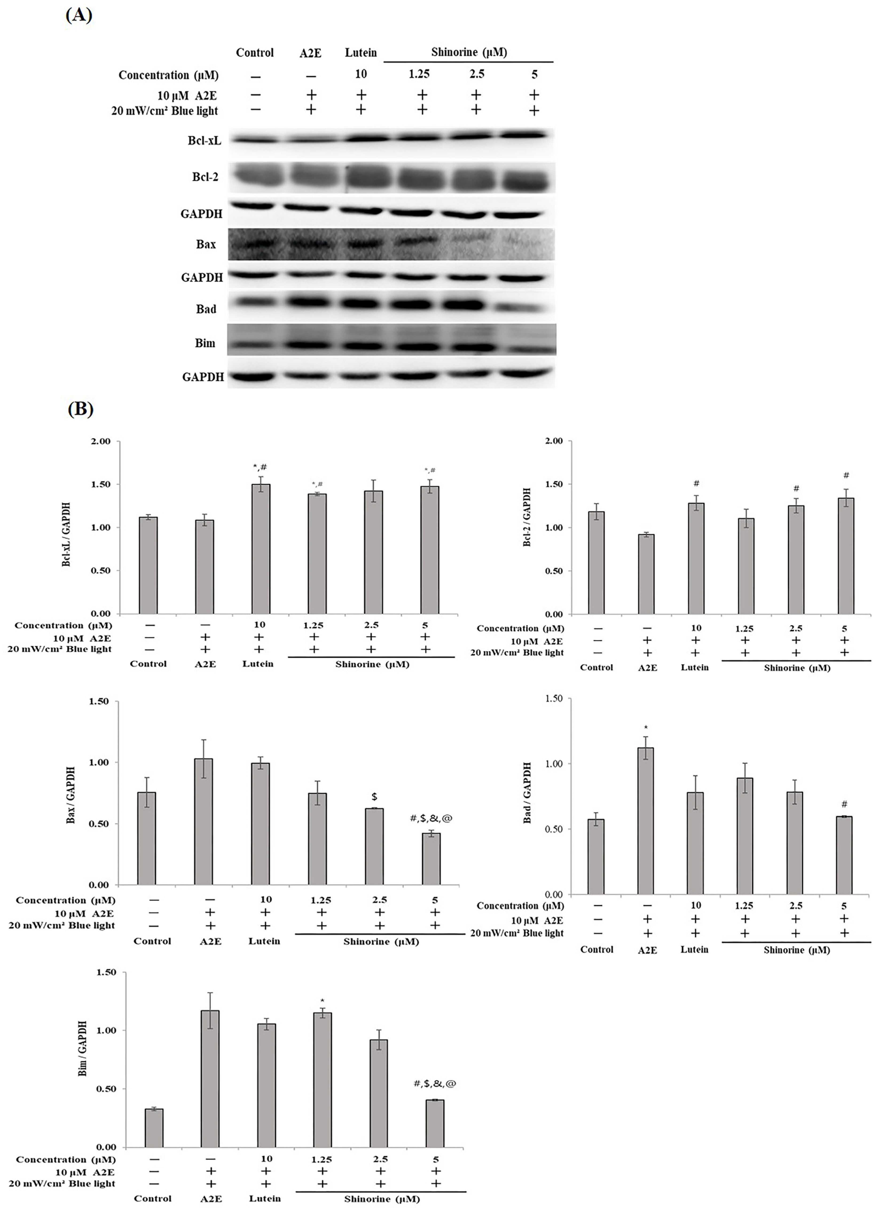 Nutrients 17 01363 g003