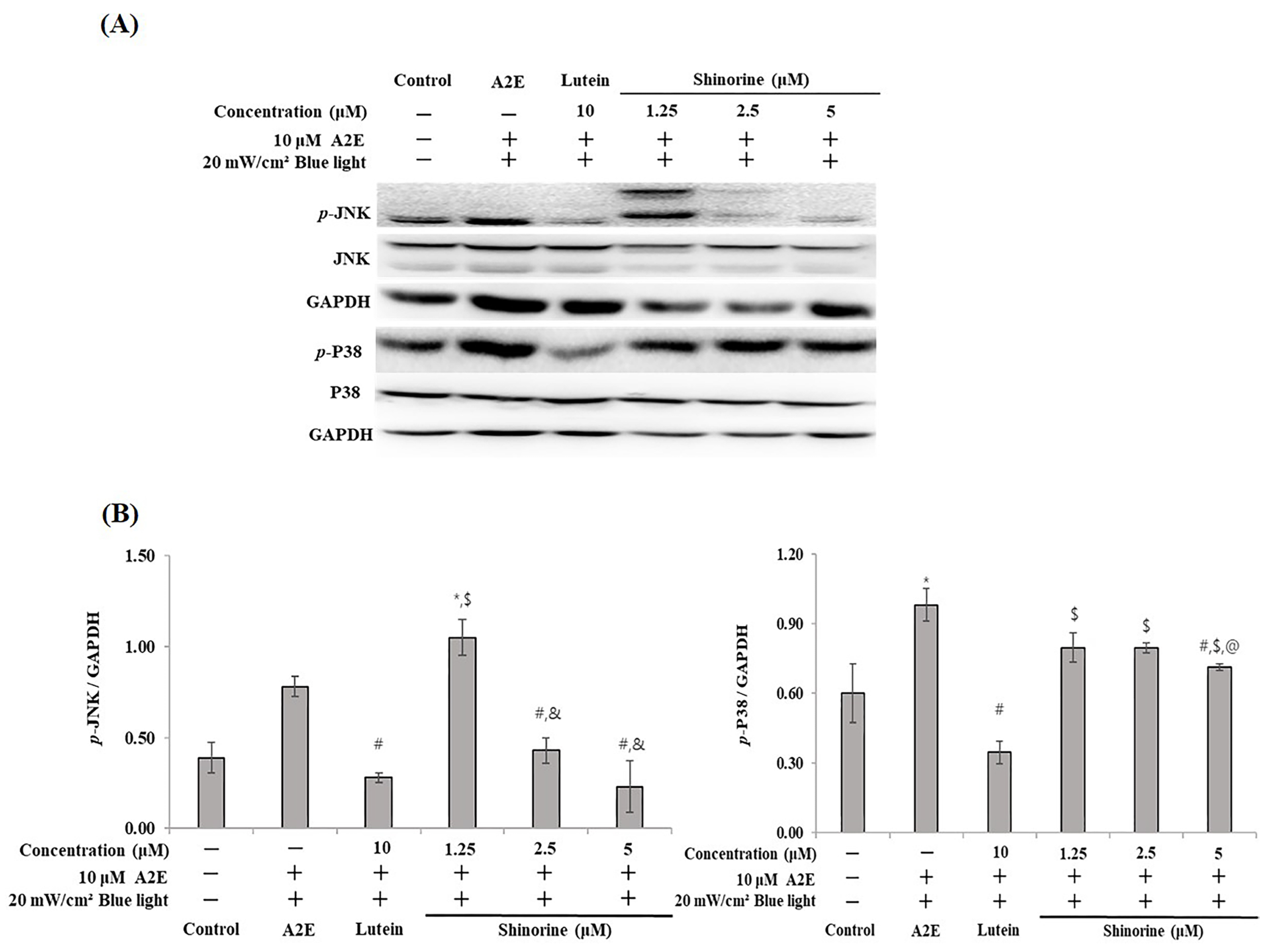 Nutrients 17 01363 g004