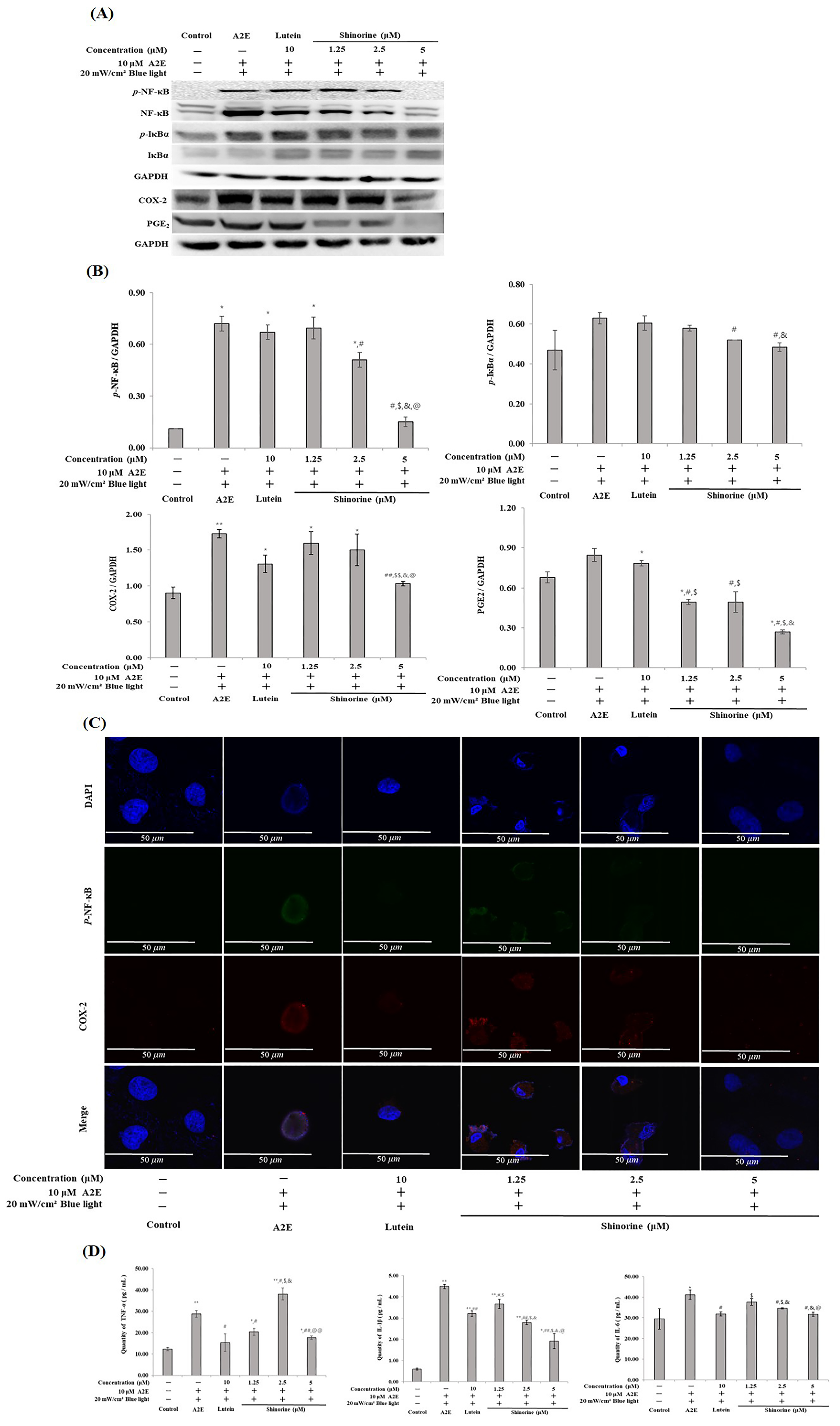 Nutrients 17 01363 g005