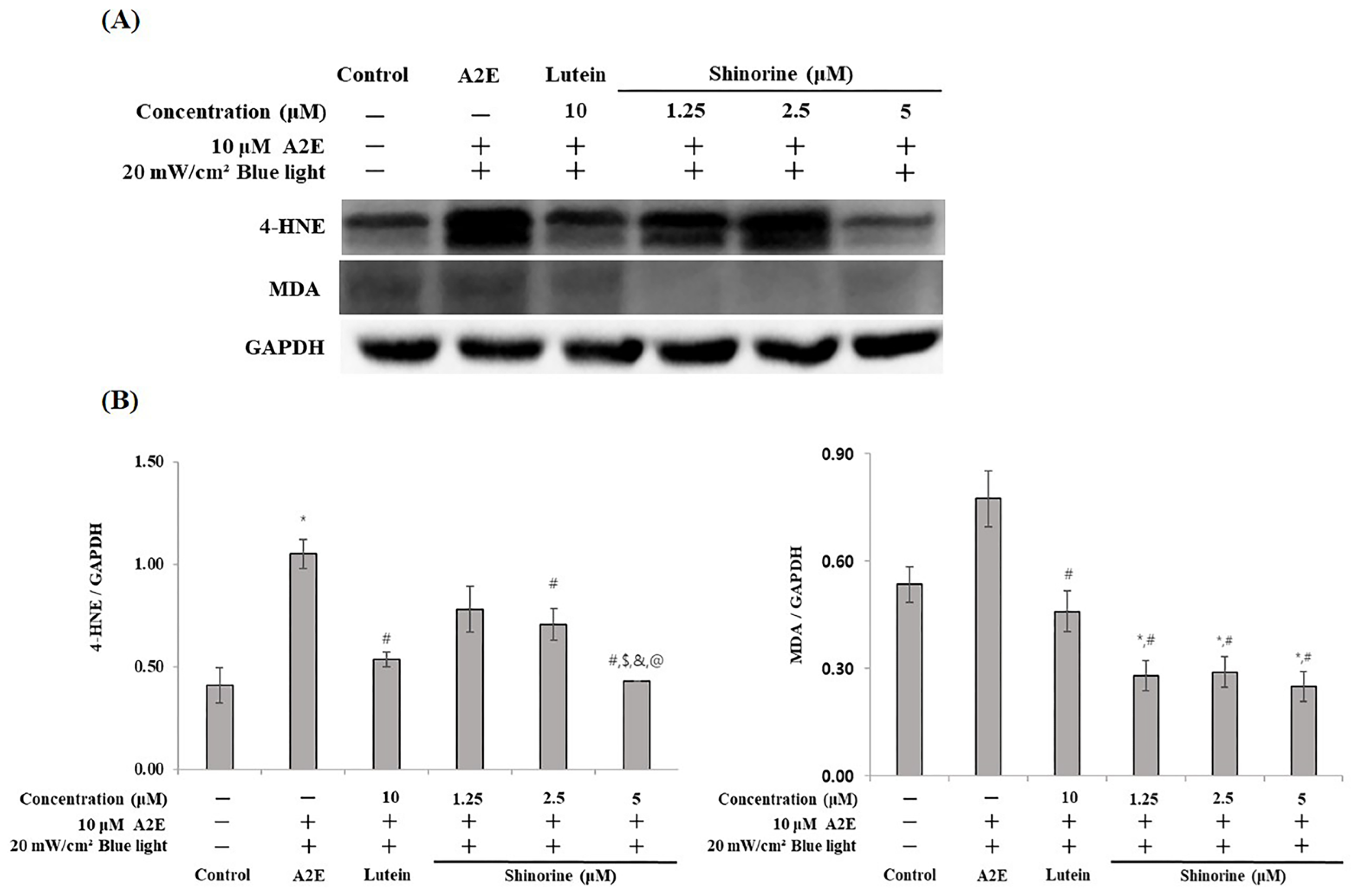 Nutrients 17 01363 g006