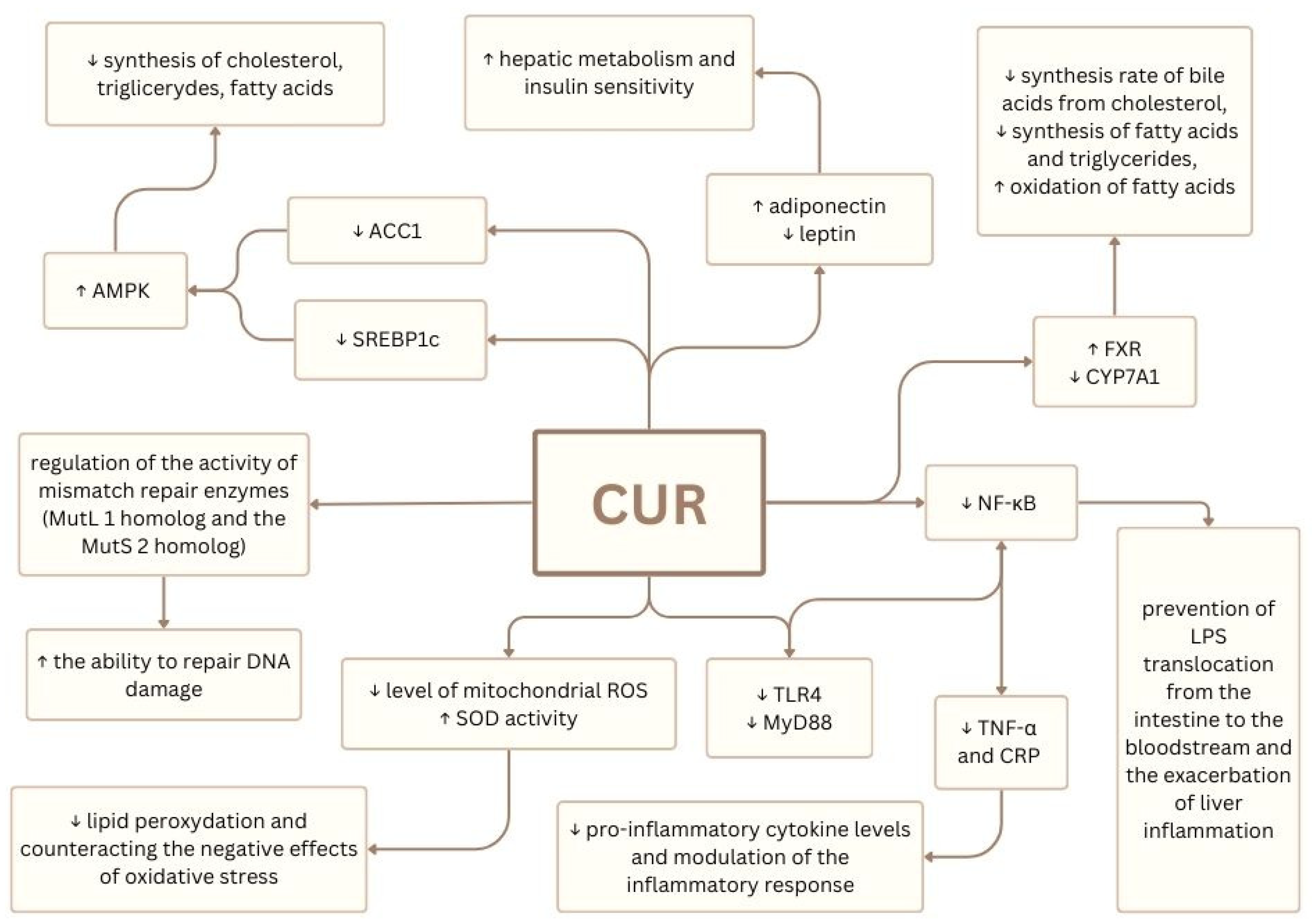 Nutrients 17 01373 g006