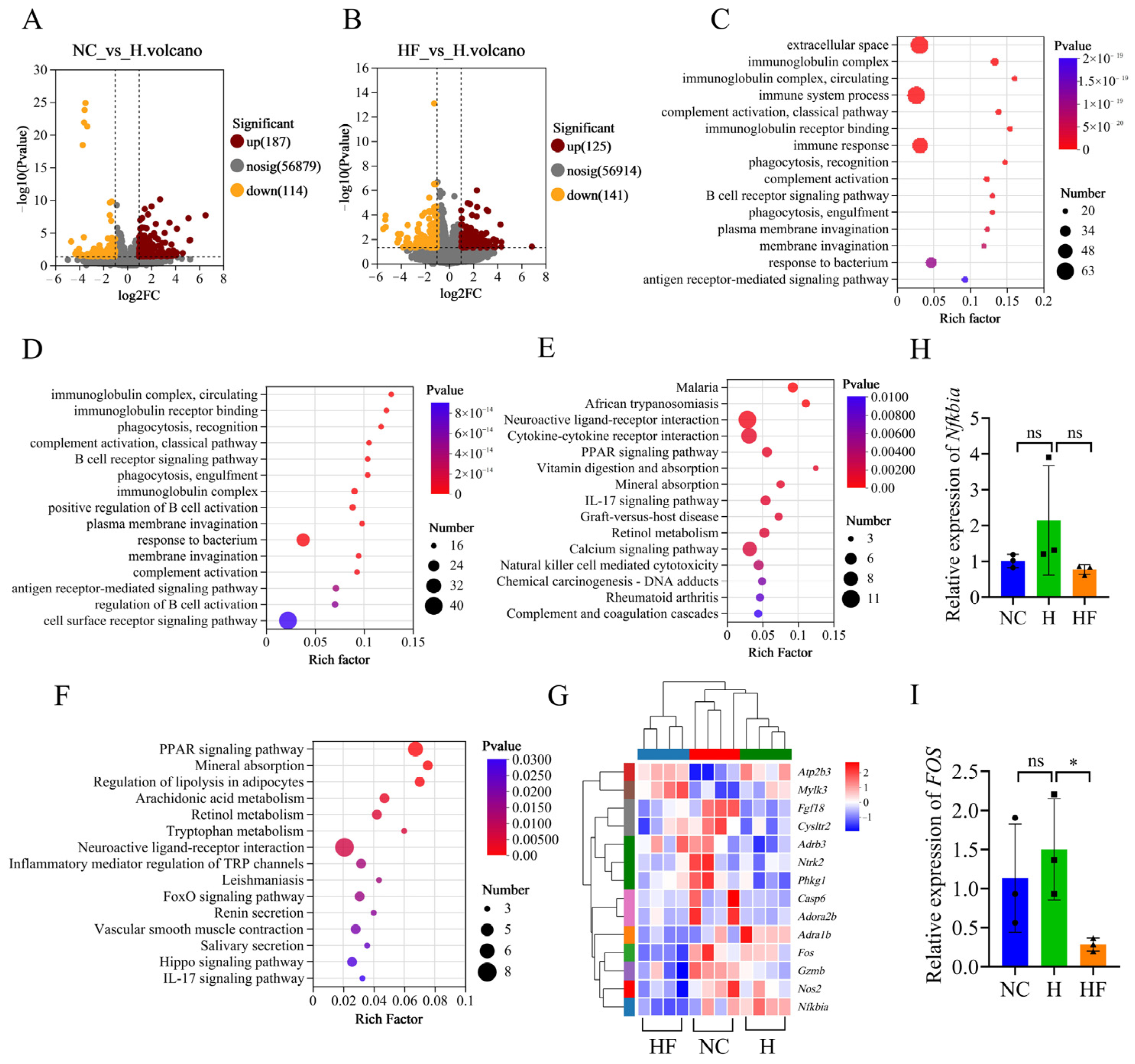 Nutrients 17 01380 g004