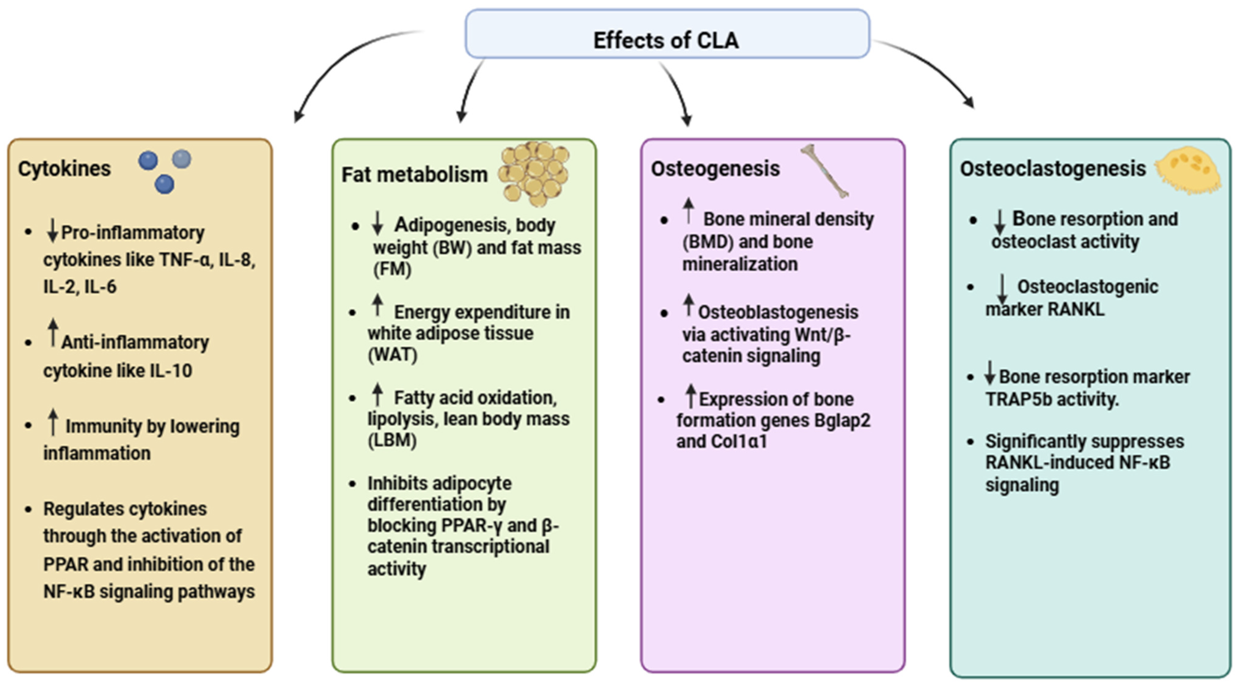 Nutrients 17 01395 g002 Nutrients 17 01395 g002