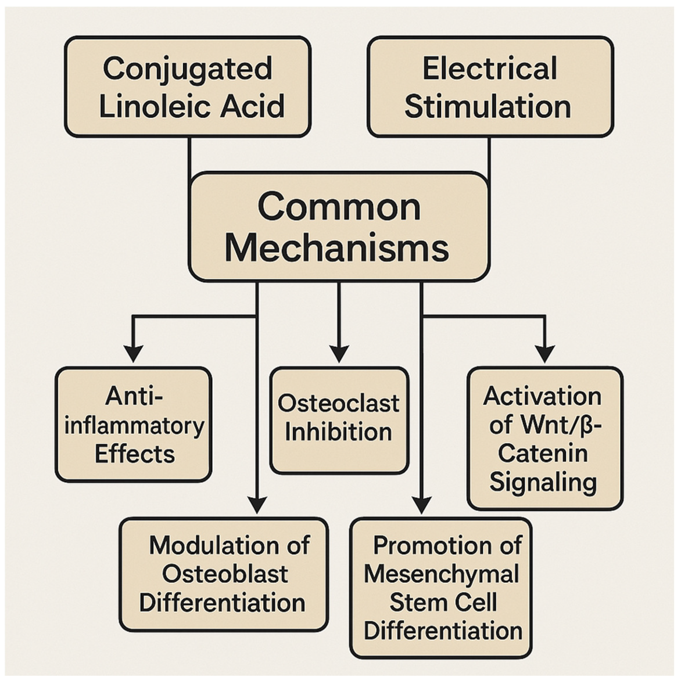 Nutrients 17 01395 g005 Nutrients 17 01395 g005