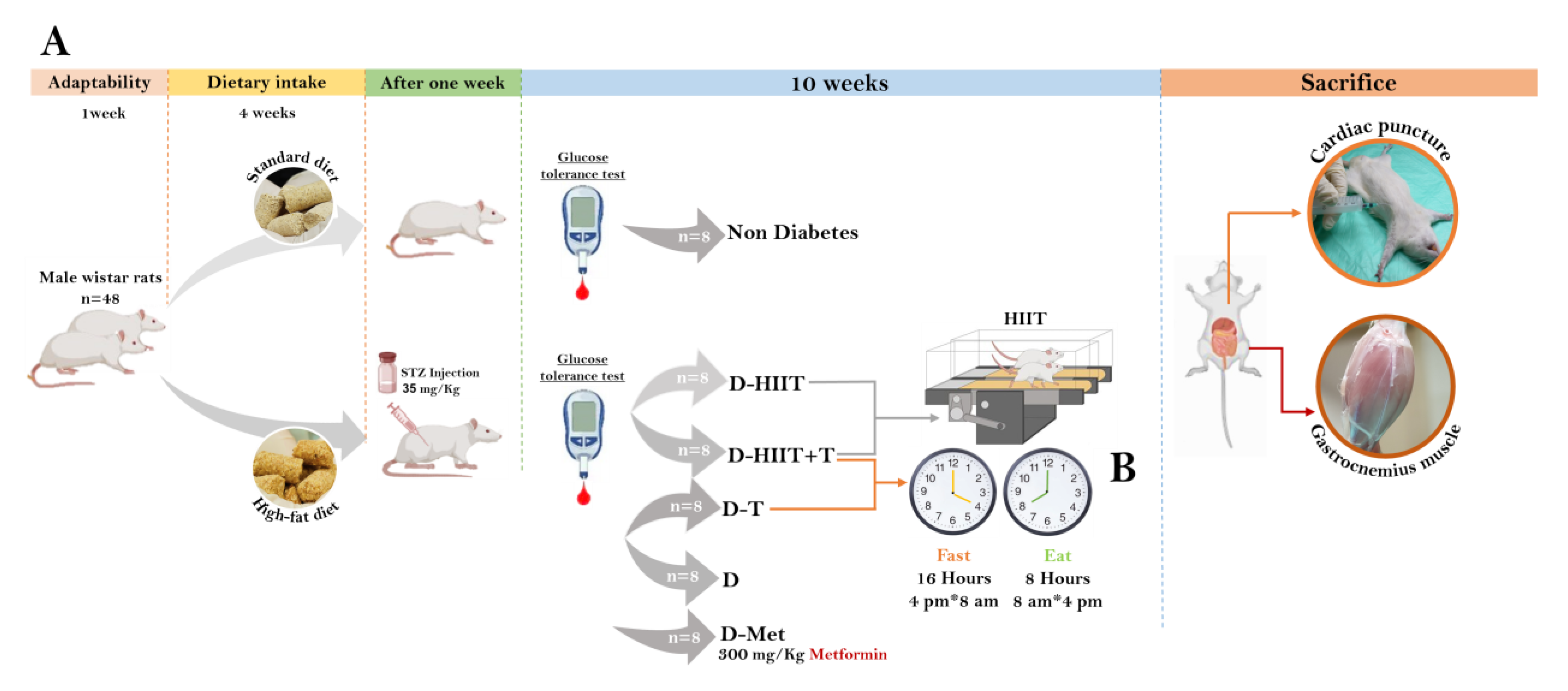 Nutrients 17 01404 g001 Nutrients 17 01404 g001