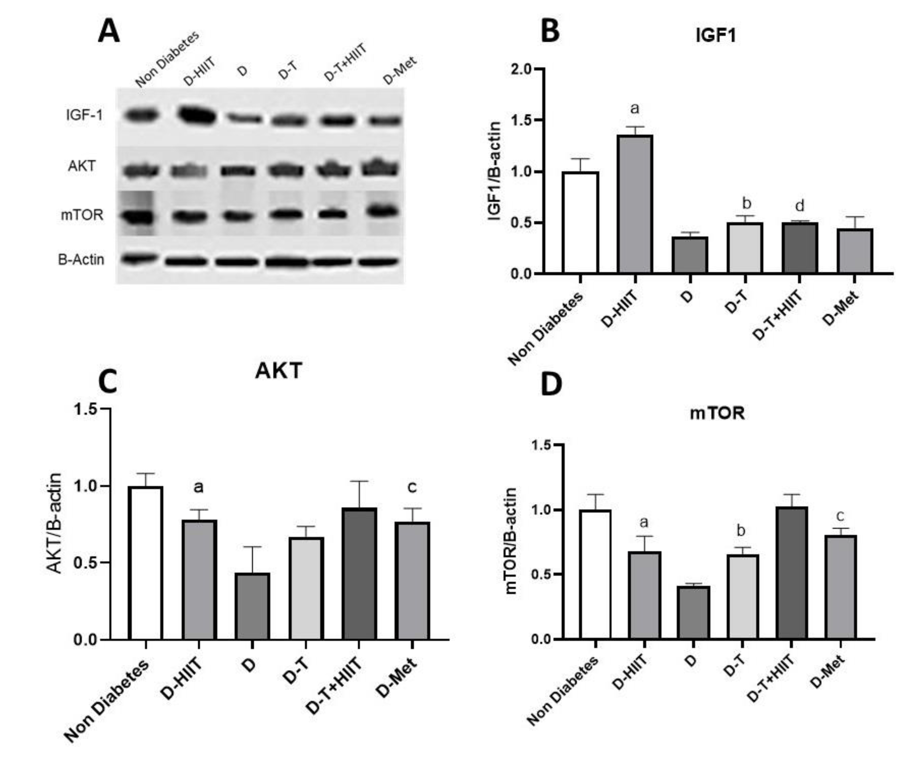 Nutrients 17 01404 g004 Nutrients 17 01404 g004
