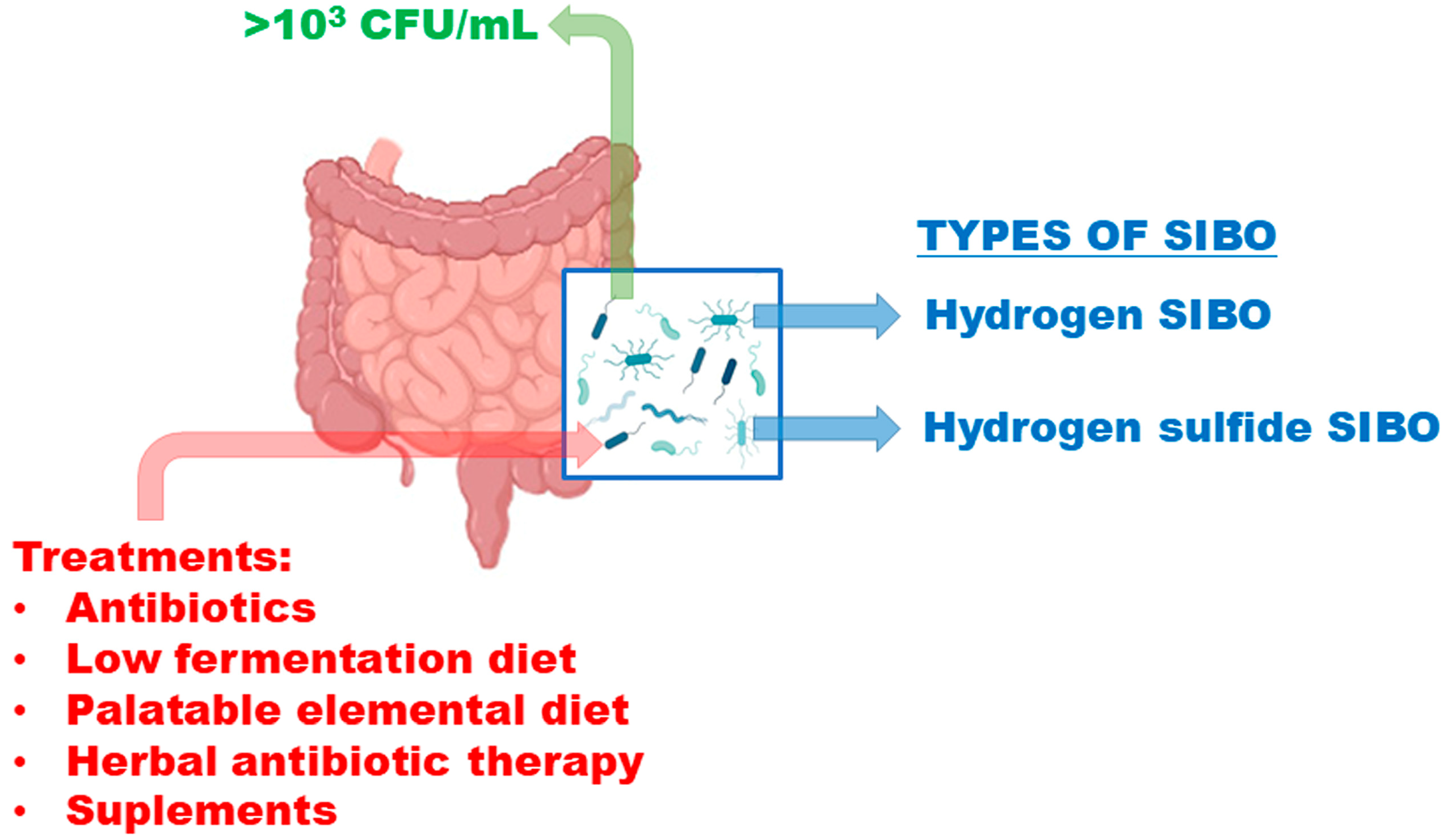 Nutrients 17 01410 g001