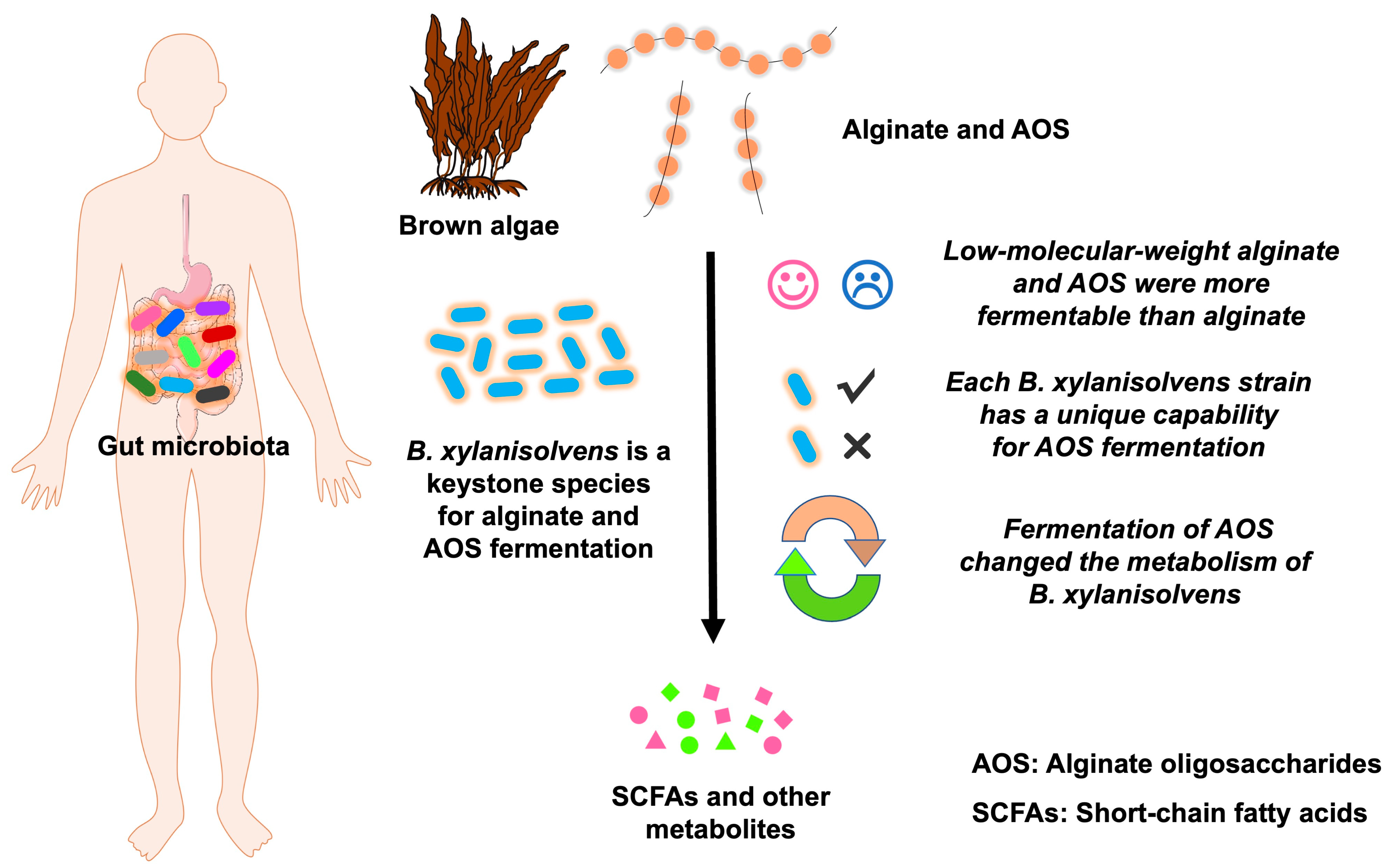 Nutrients 17 01424 g009