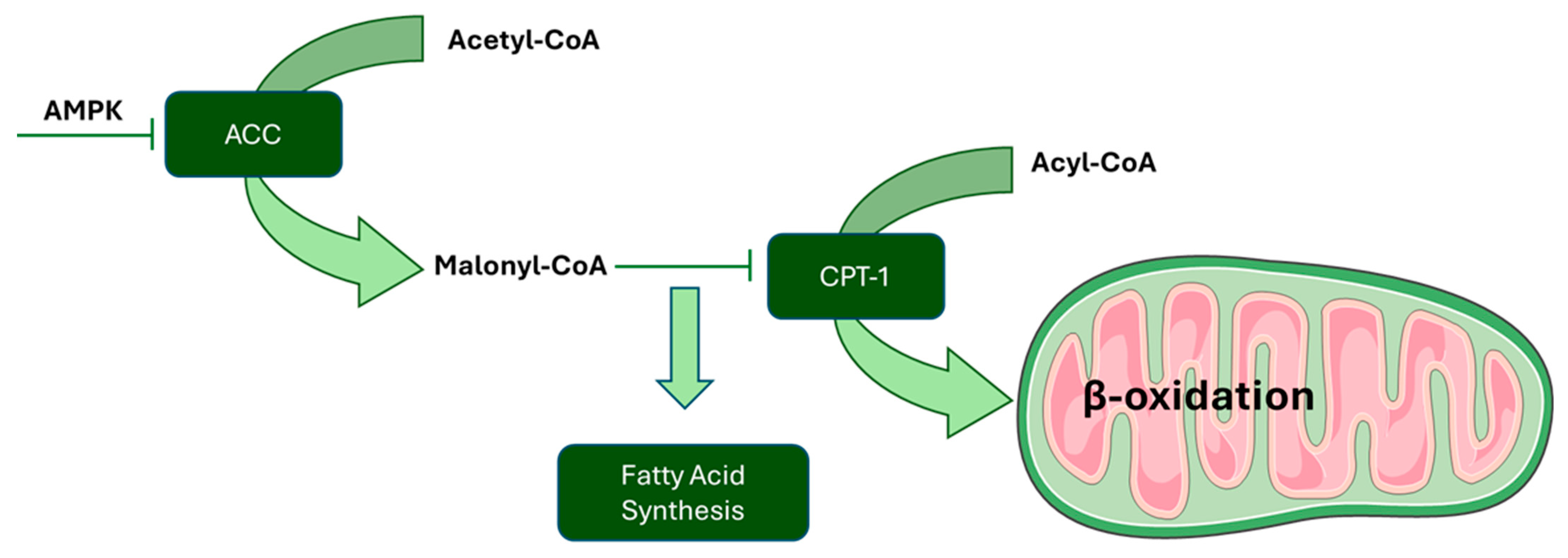 Nutrients 17 01430 g002