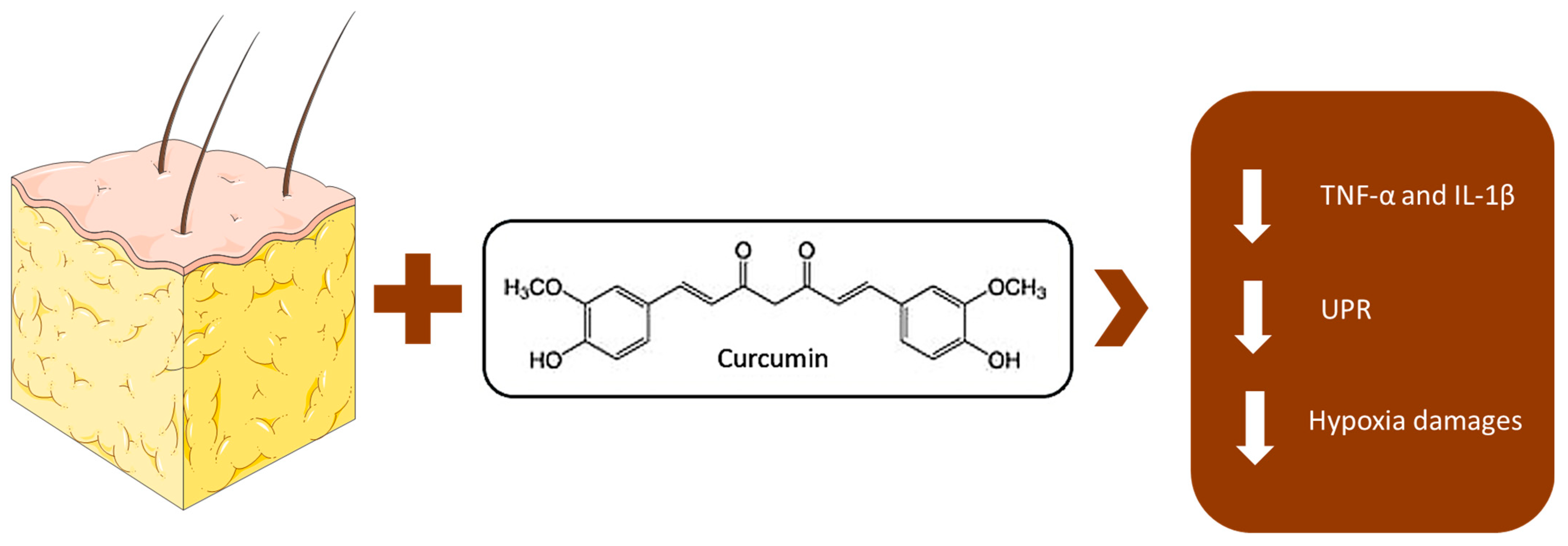 Nutrients 17 01430 g003