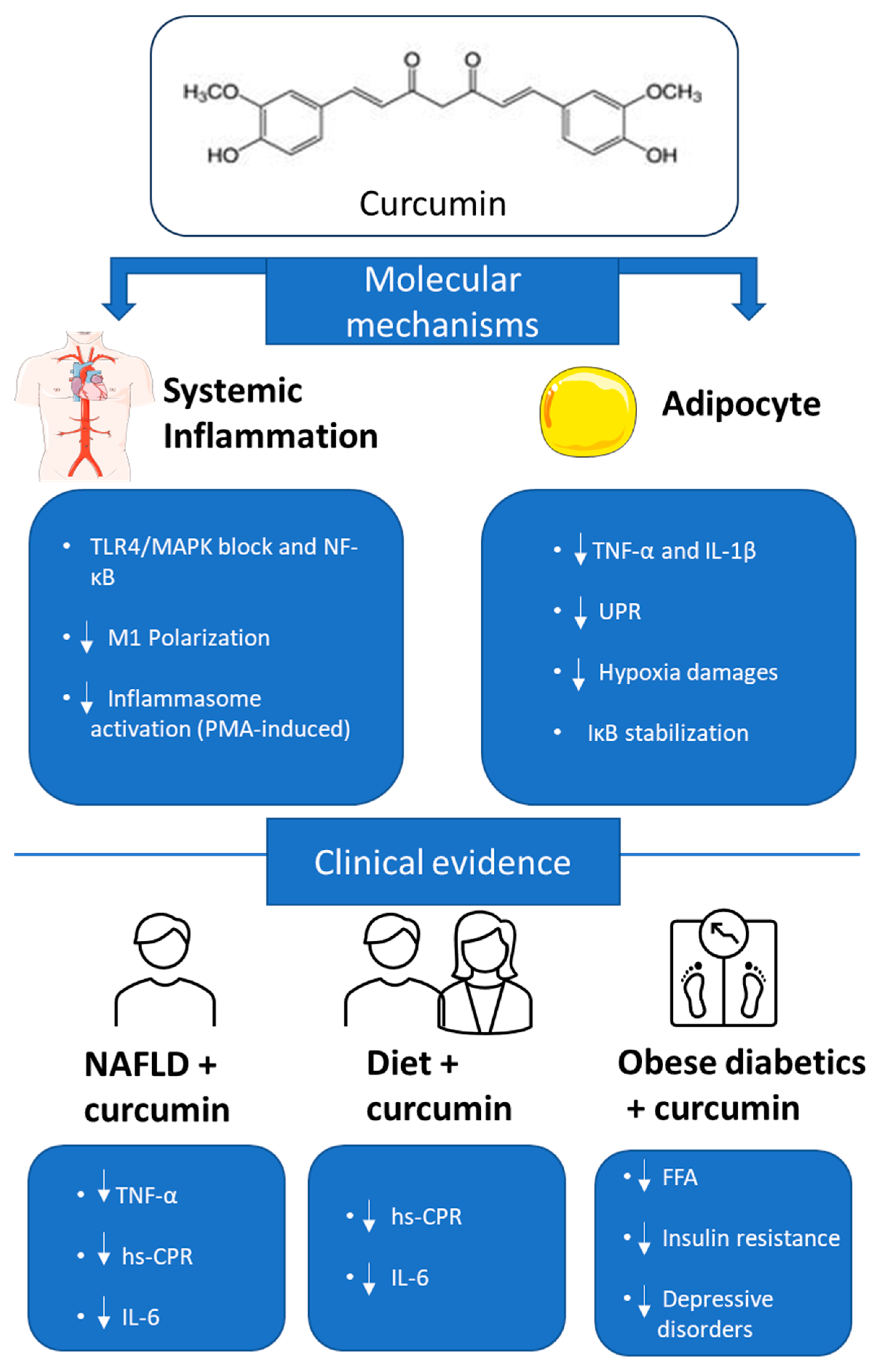 Nutrients 17 01430 g005