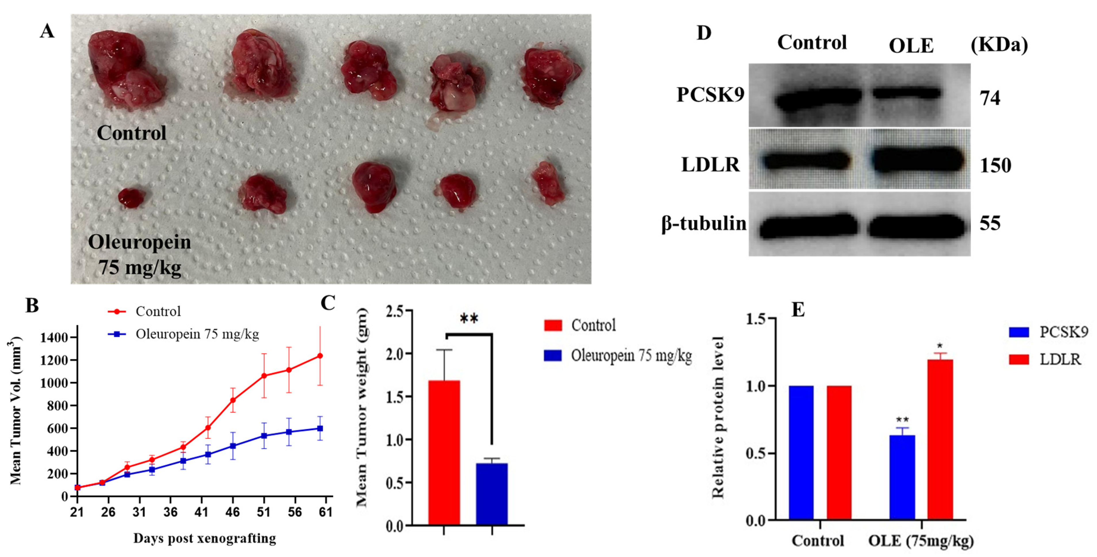 Nutrients 17 01445 g008