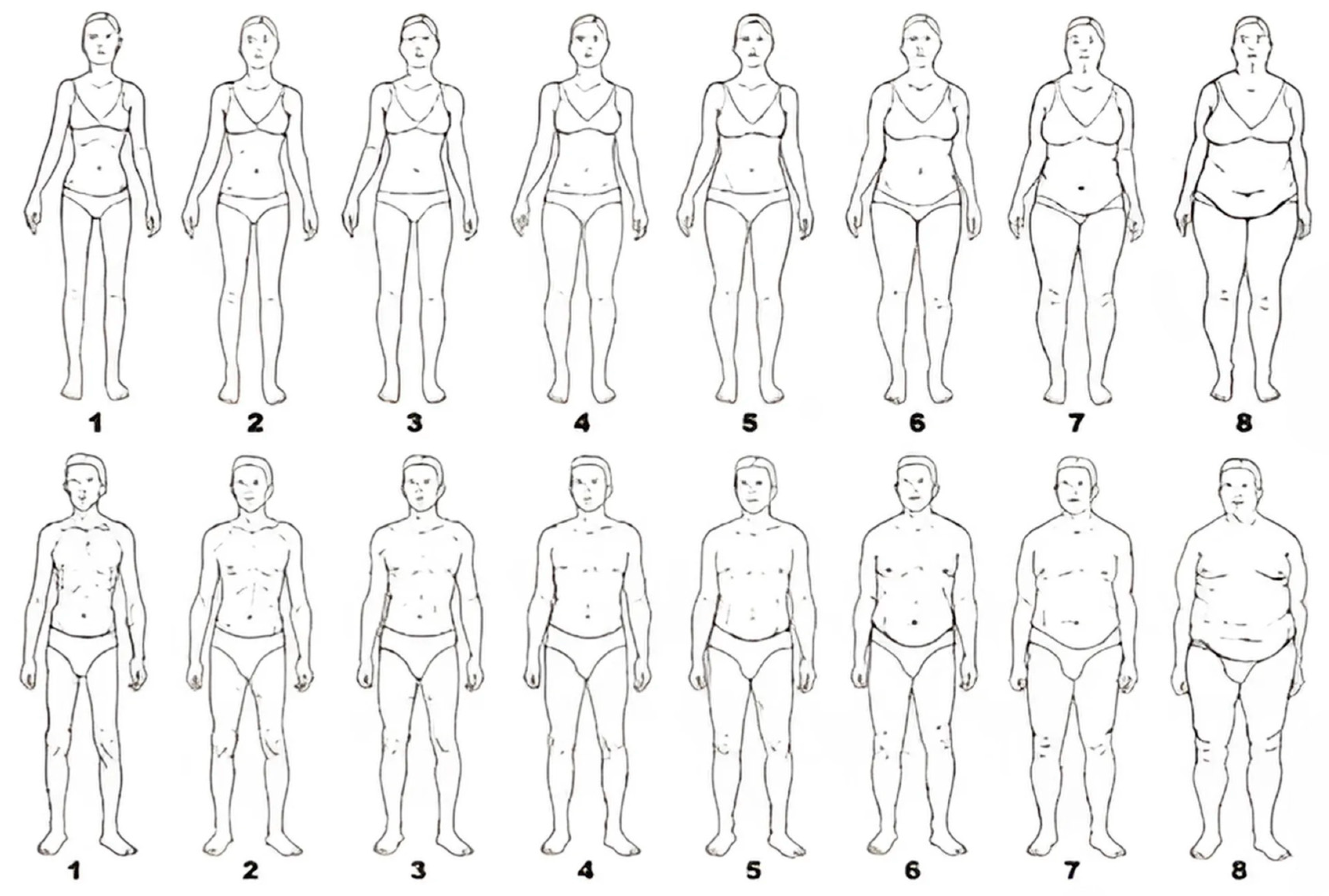 Nutrients 17 01455 g001