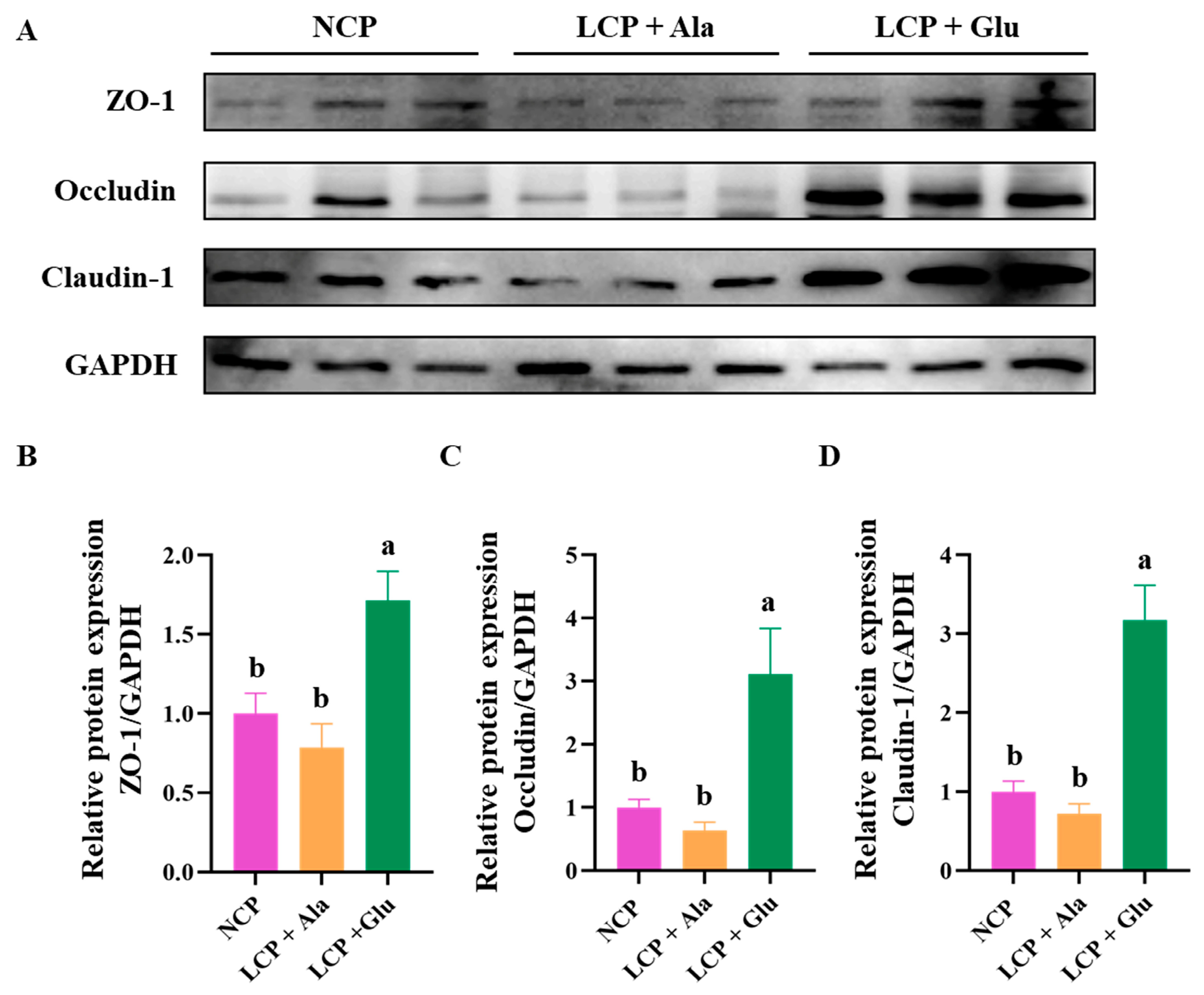 Nutrients 17 01465 g003