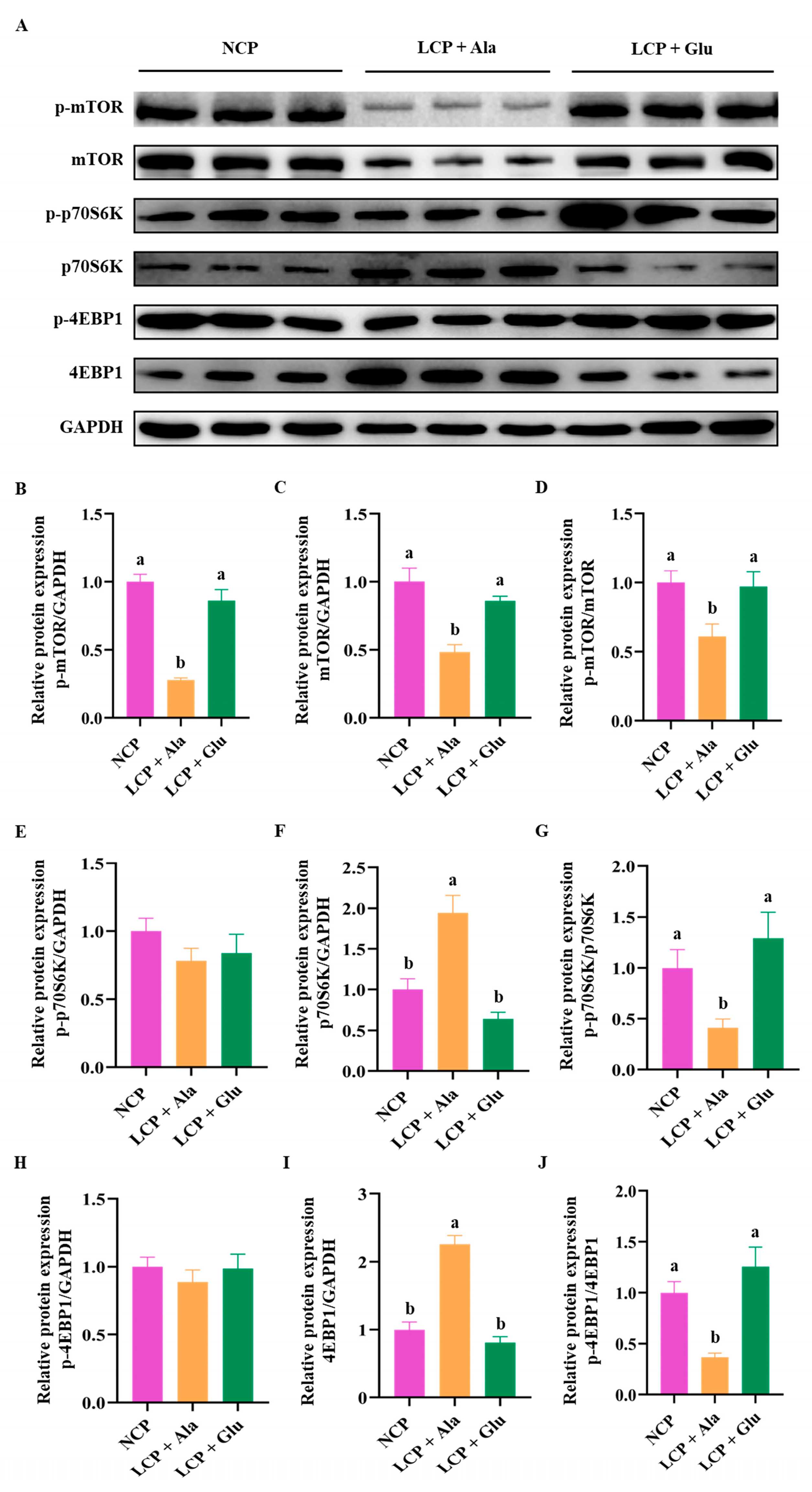 Nutrients 17 01465 g008