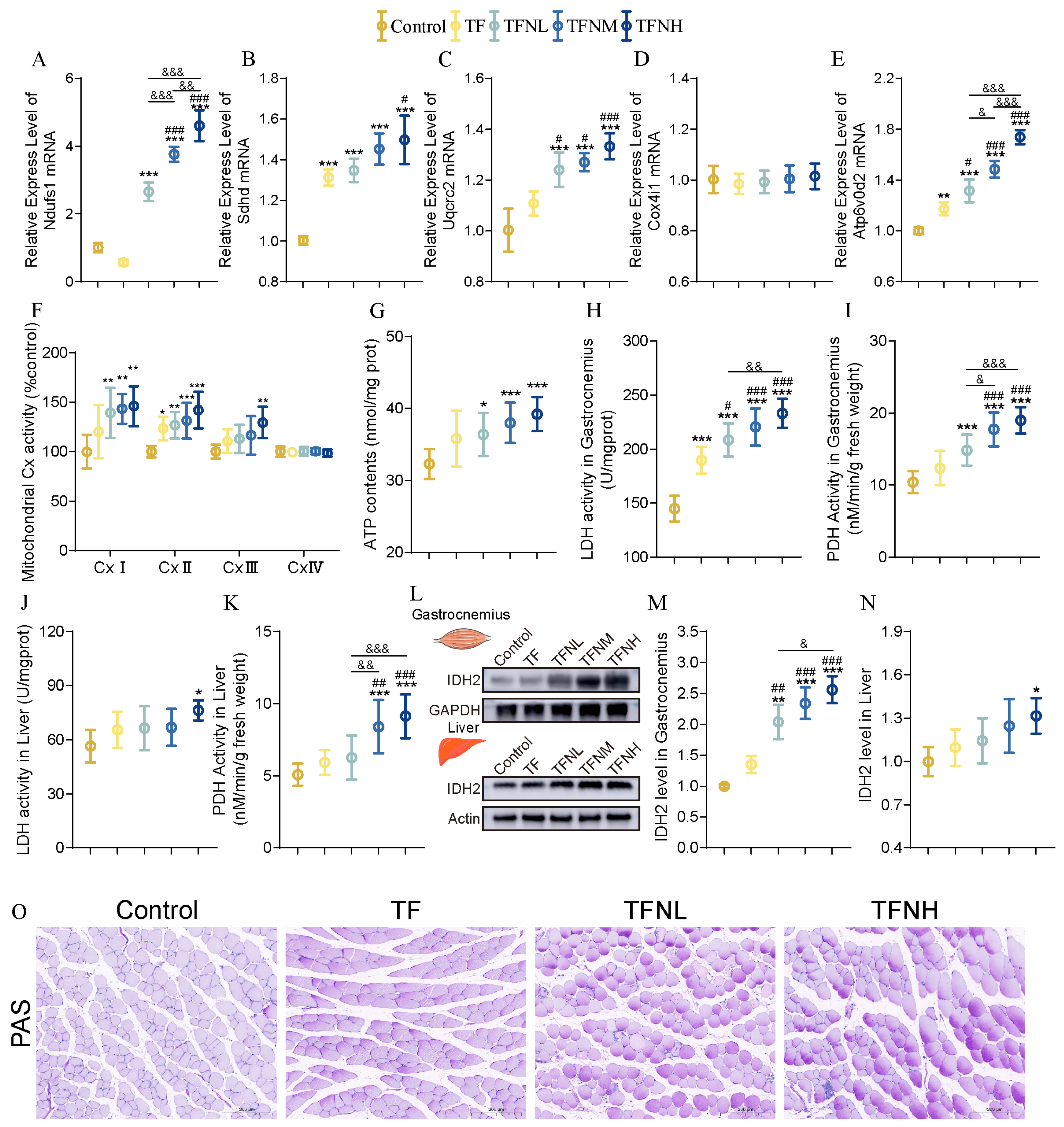 Nutrients 17 01467 g004