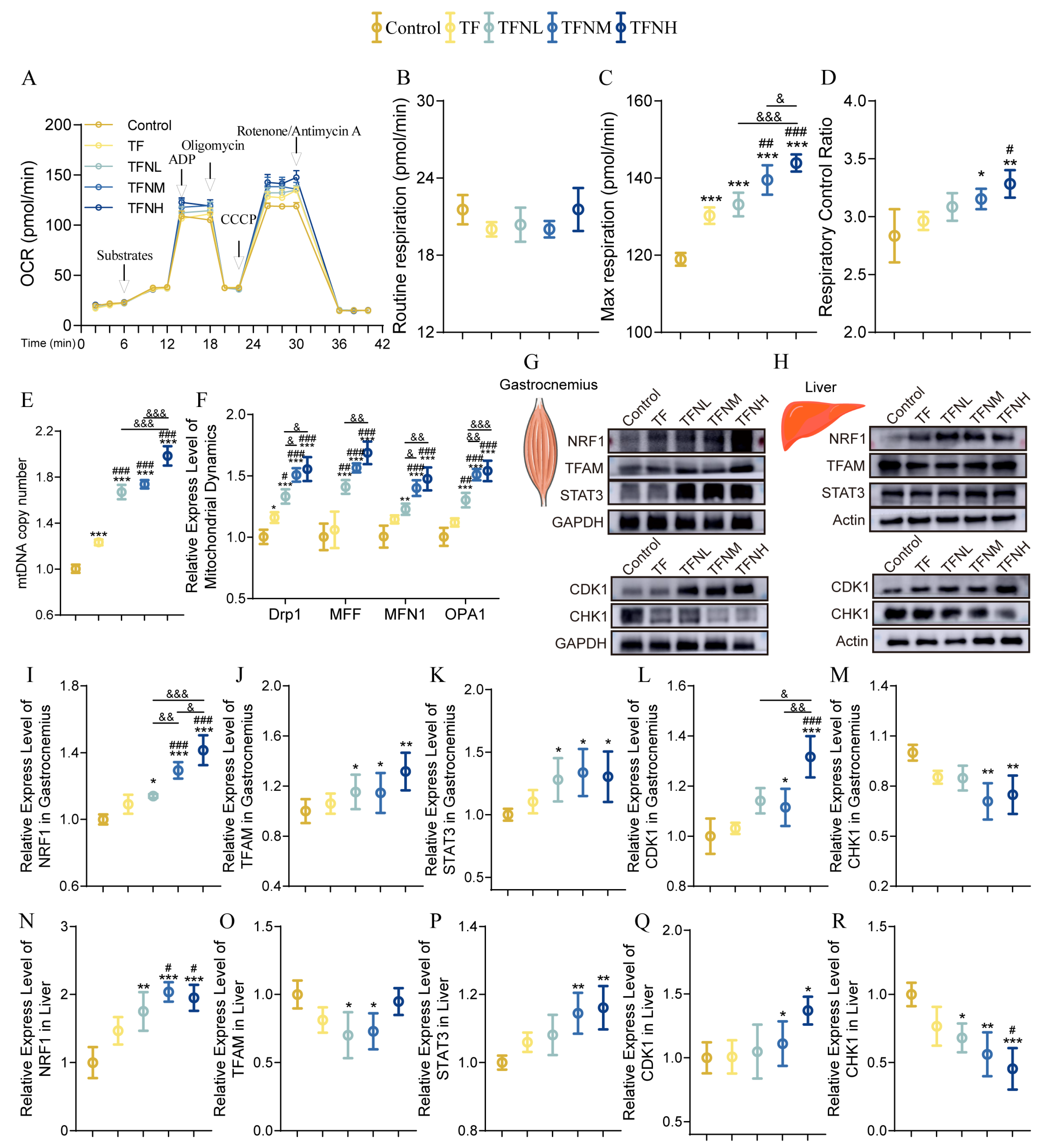 Nutrients 17 01467 g005