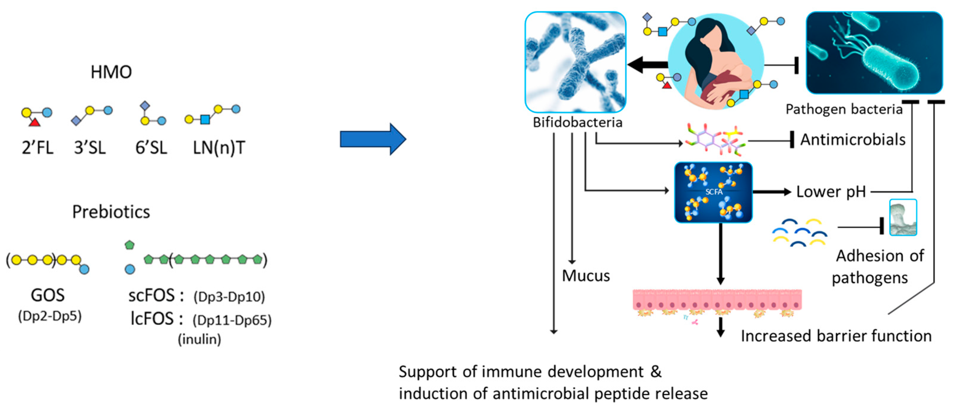 Nutrients 17 01469 g003