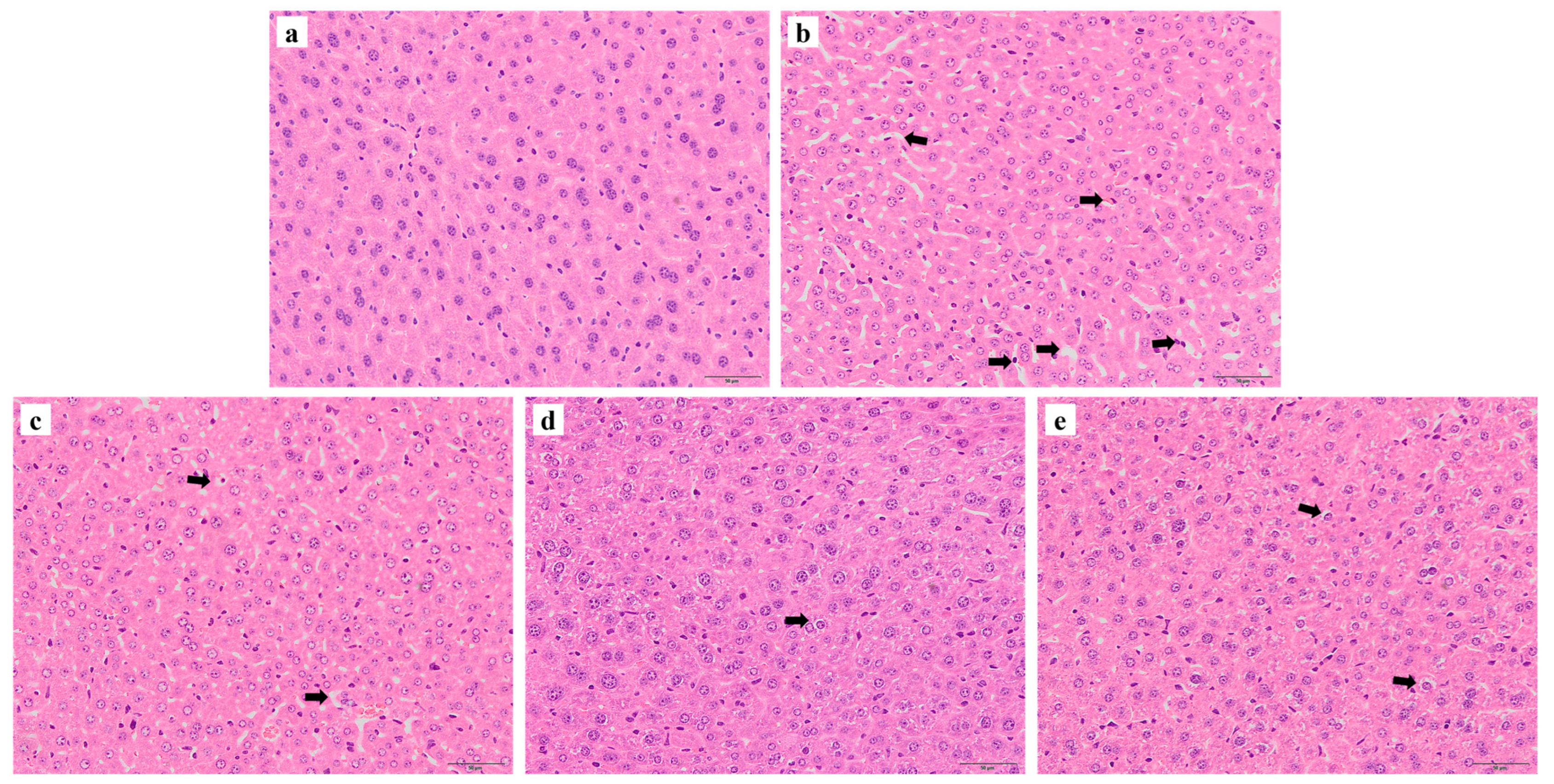 Nutrients 17 01495 g005