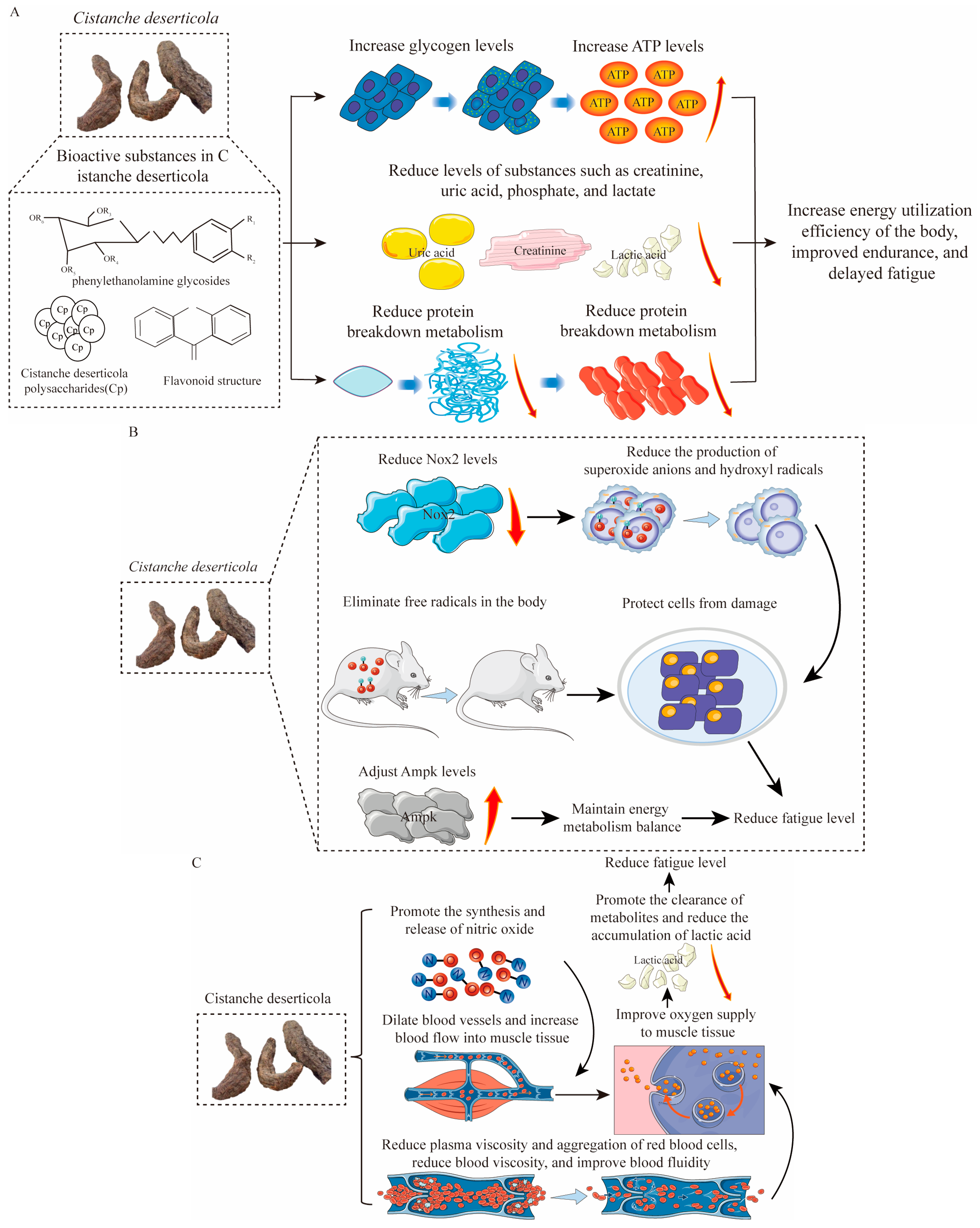 Nutrients 17 01501 g004a