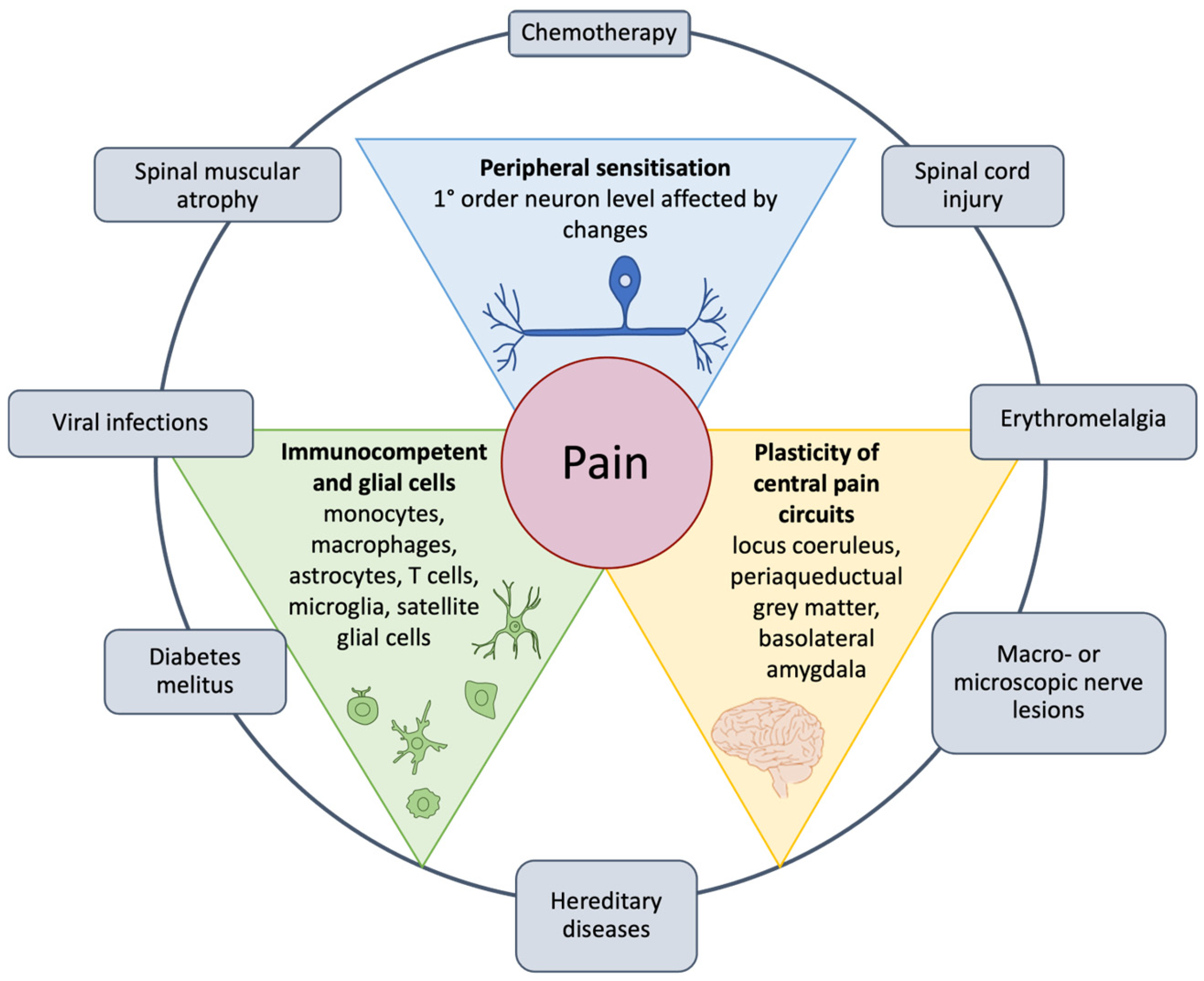 Nutrients 17 01502 g001