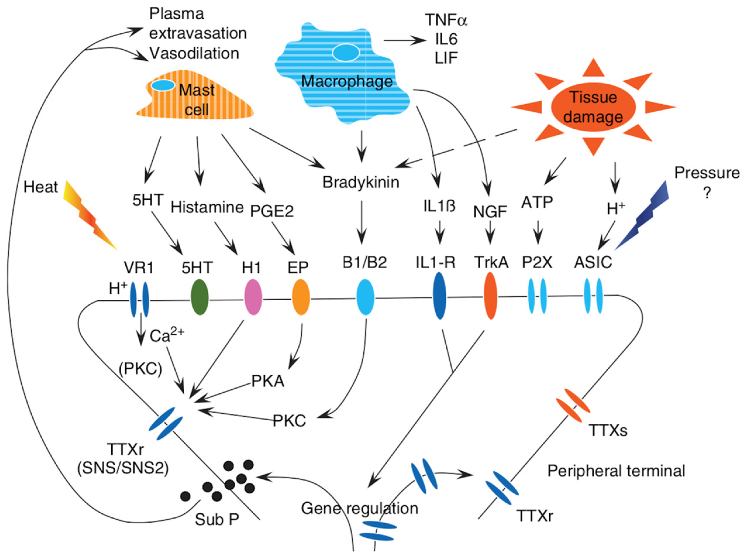 Nutrients 17 01502 g002