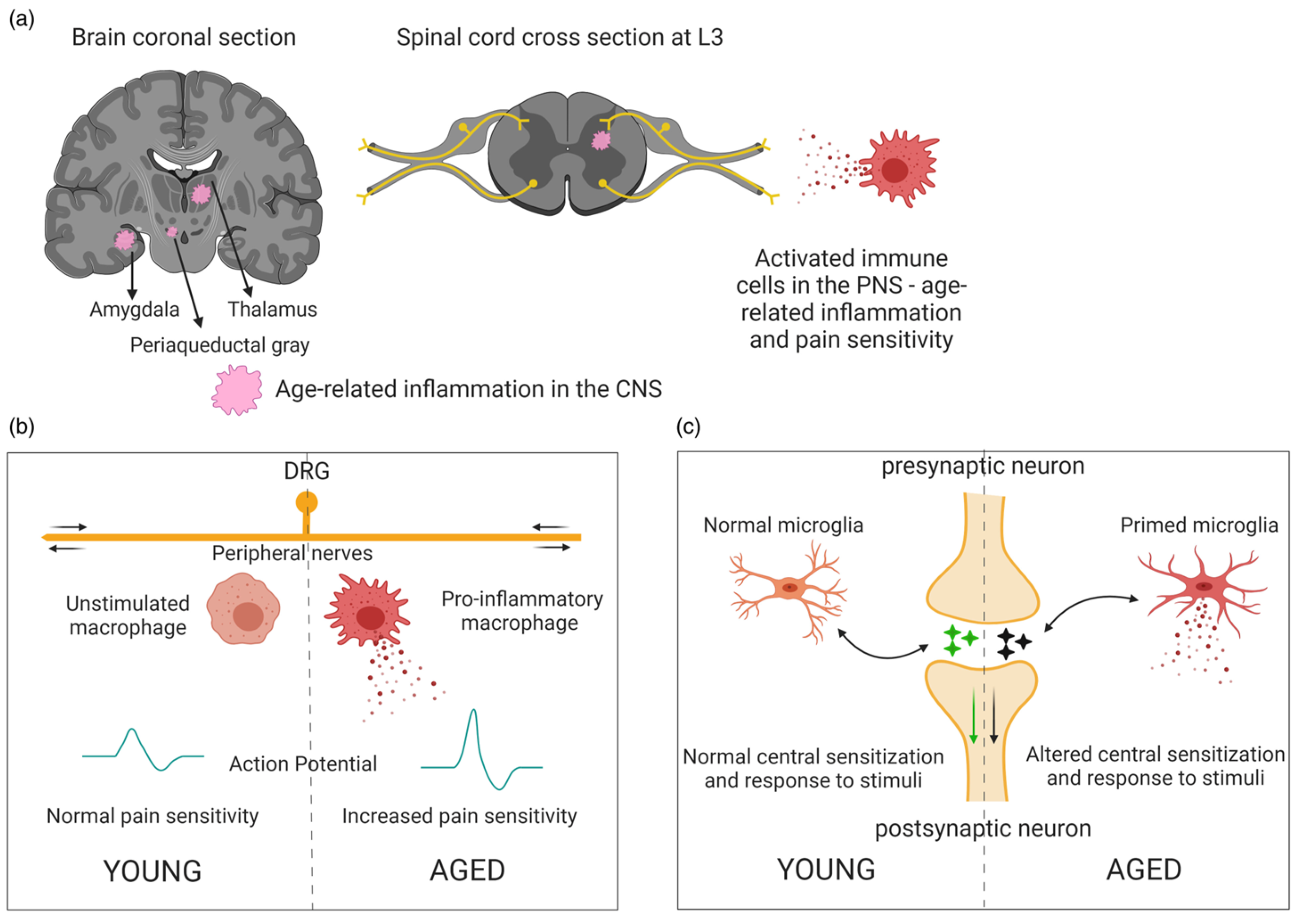 Nutrients 17 01502 g004