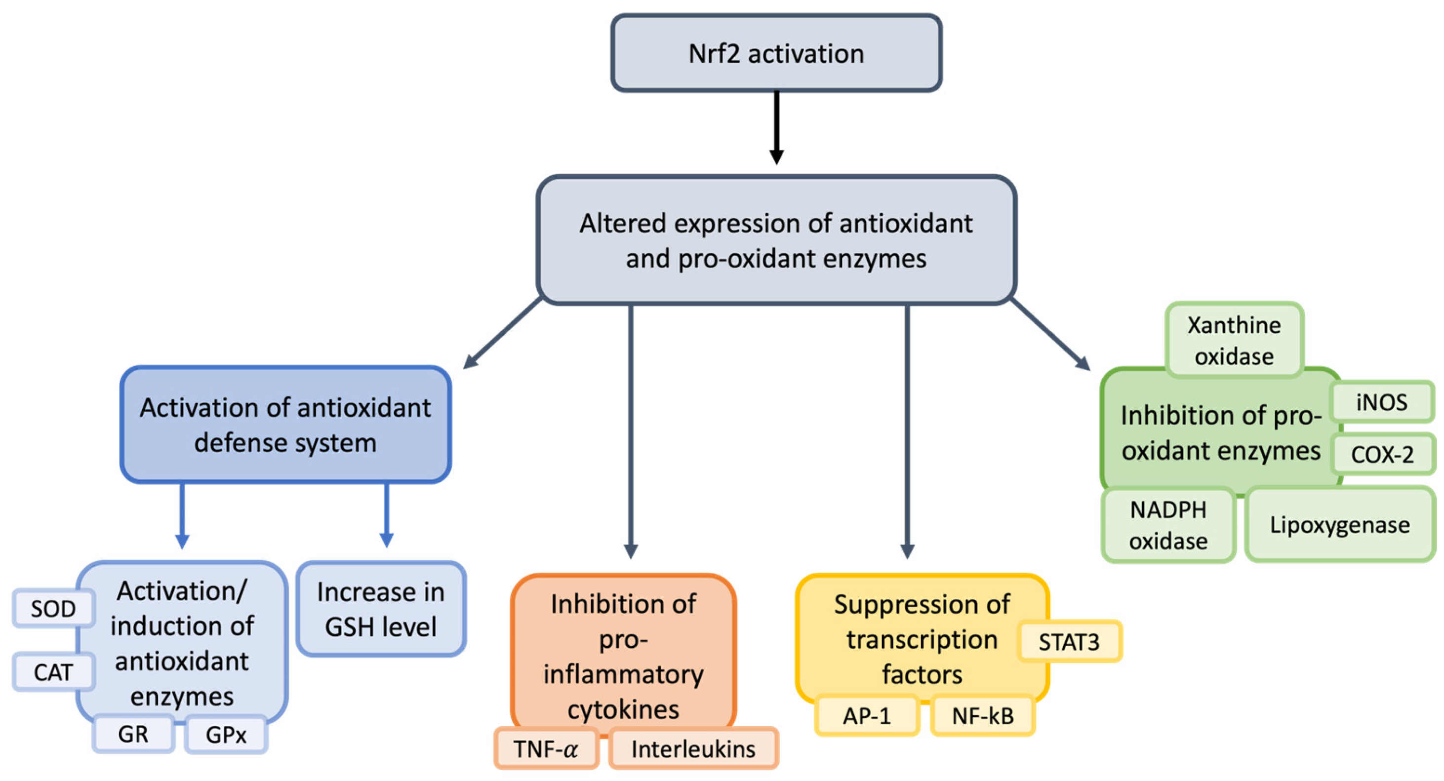 Nutrients 17 01502 g007