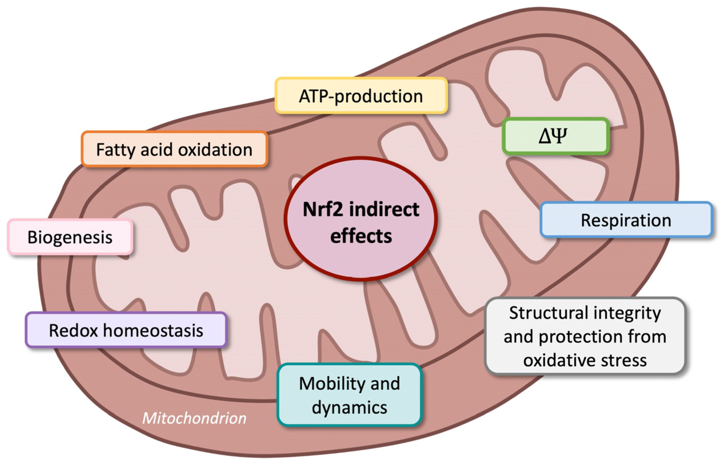 Nutrients 17 01502 g008