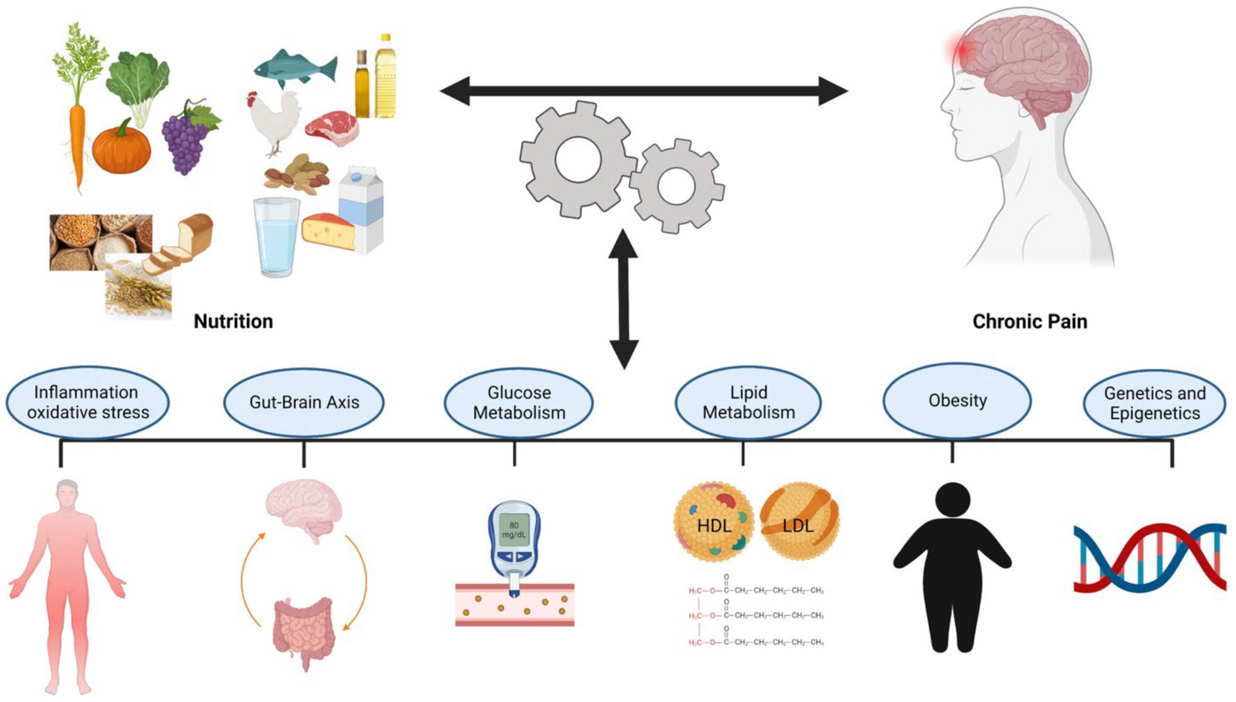 Nutrients 17 01502 g009