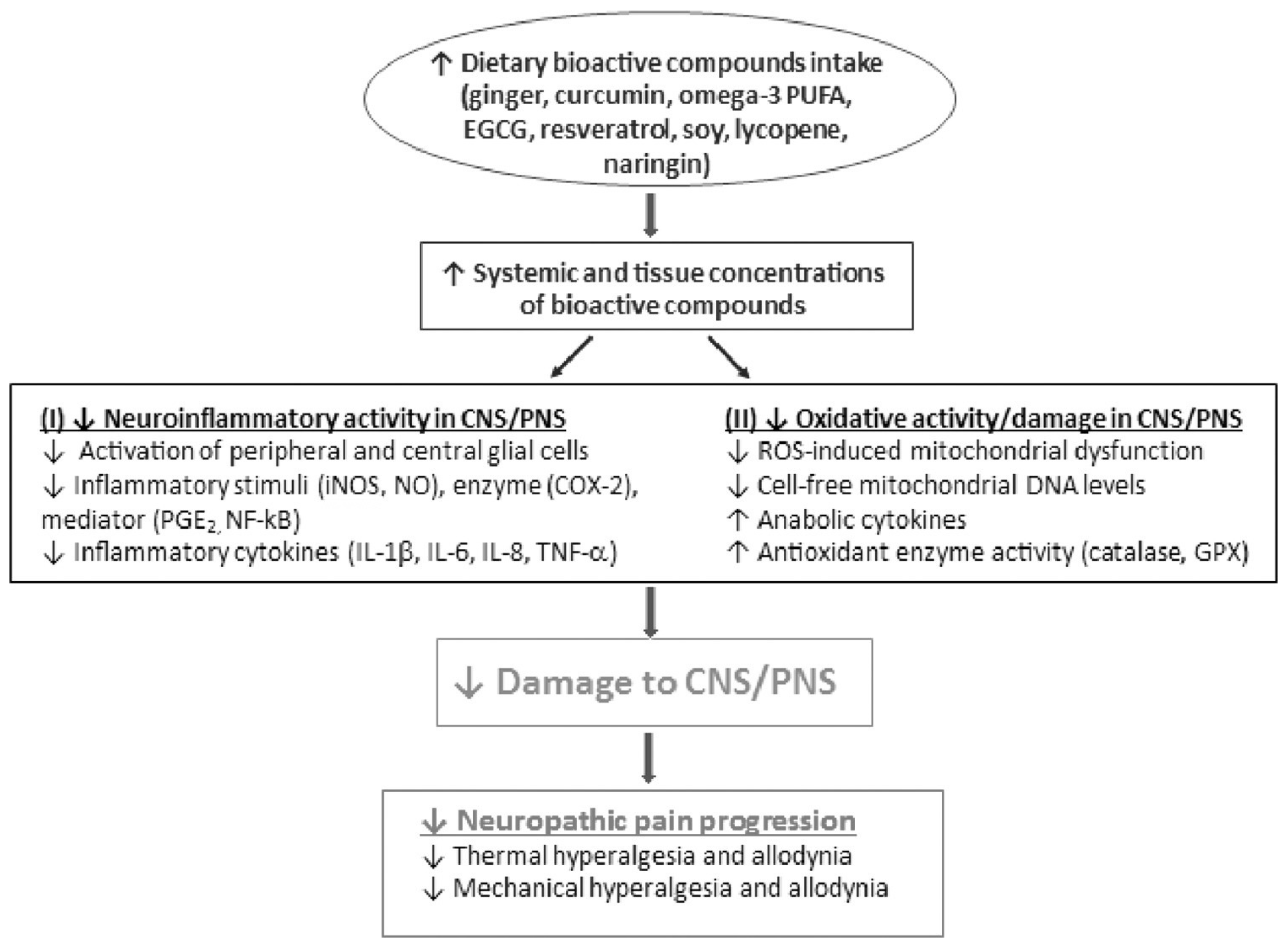 Nutrients 17 01502 g010