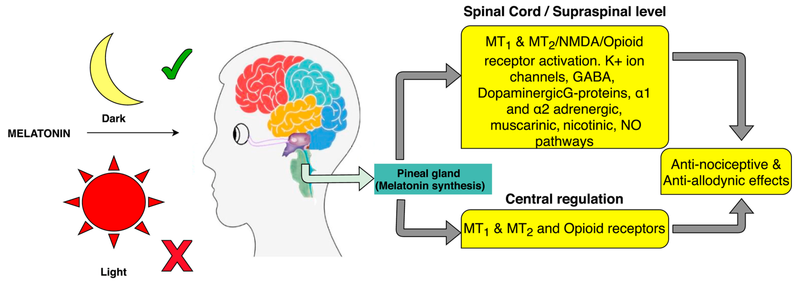 Nutrients 17 01502 g011