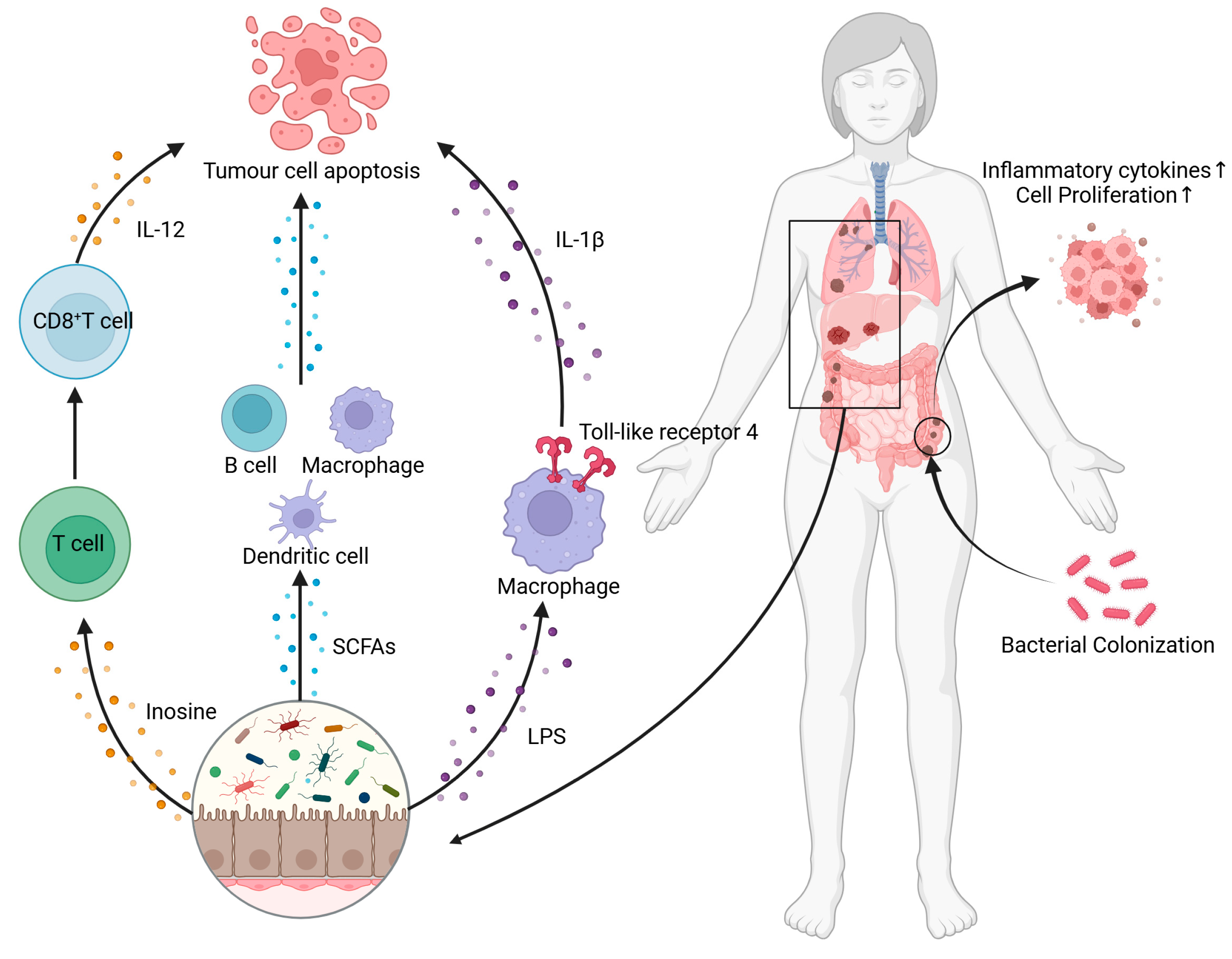 Nutrients 17 01505 g002