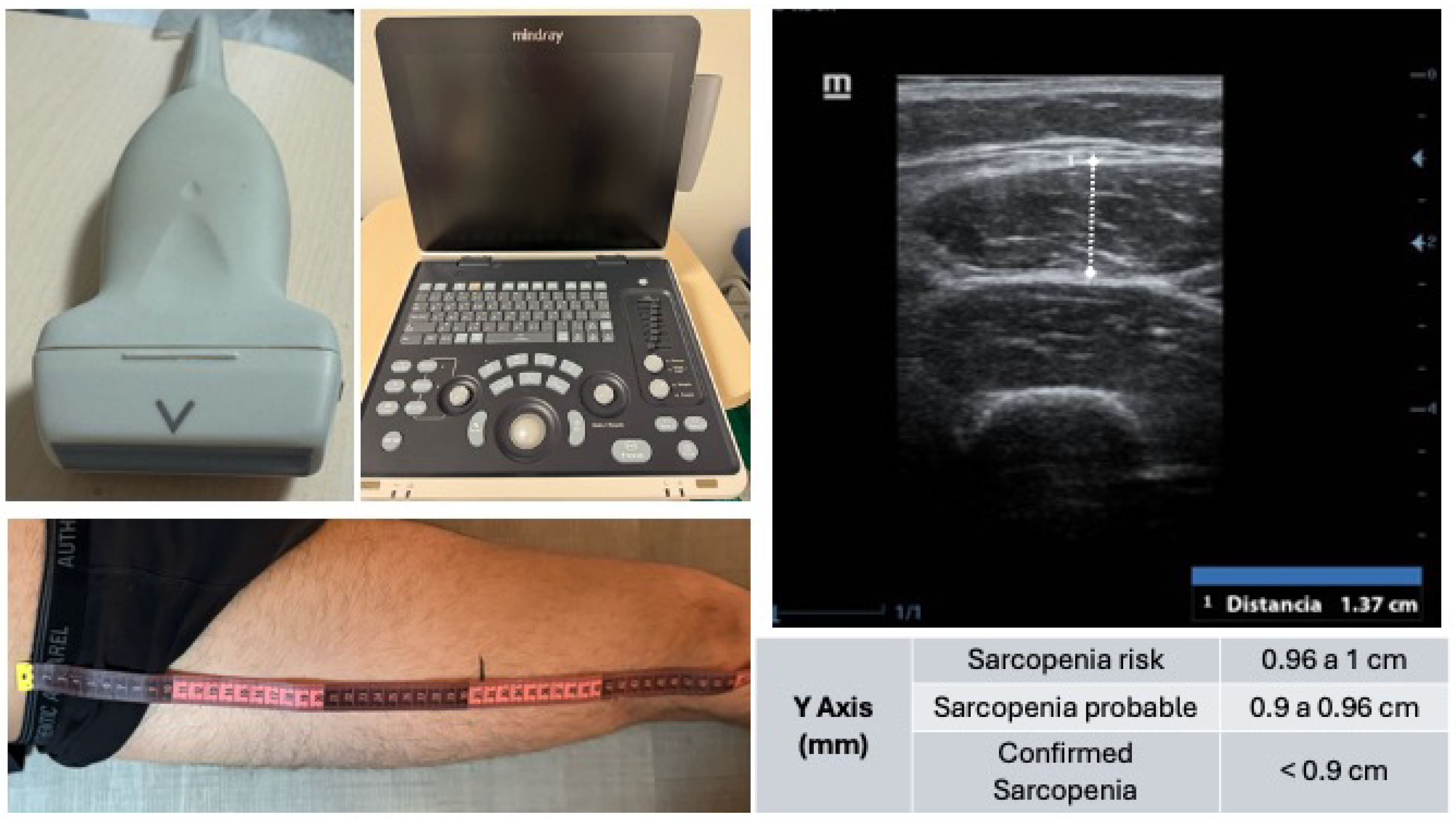 Nutrients 17 01509 g001