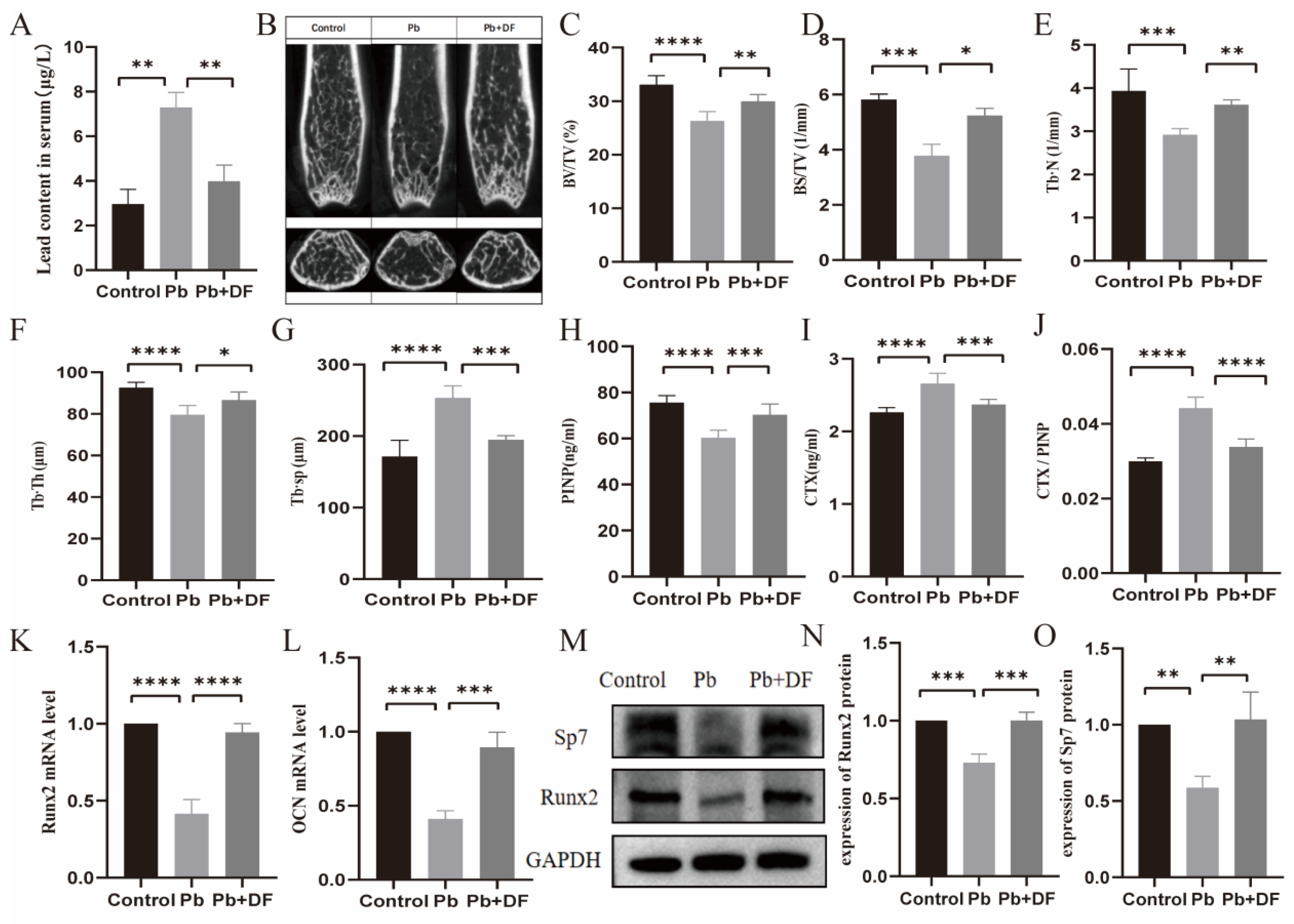 Nutrients 17 01513 g002