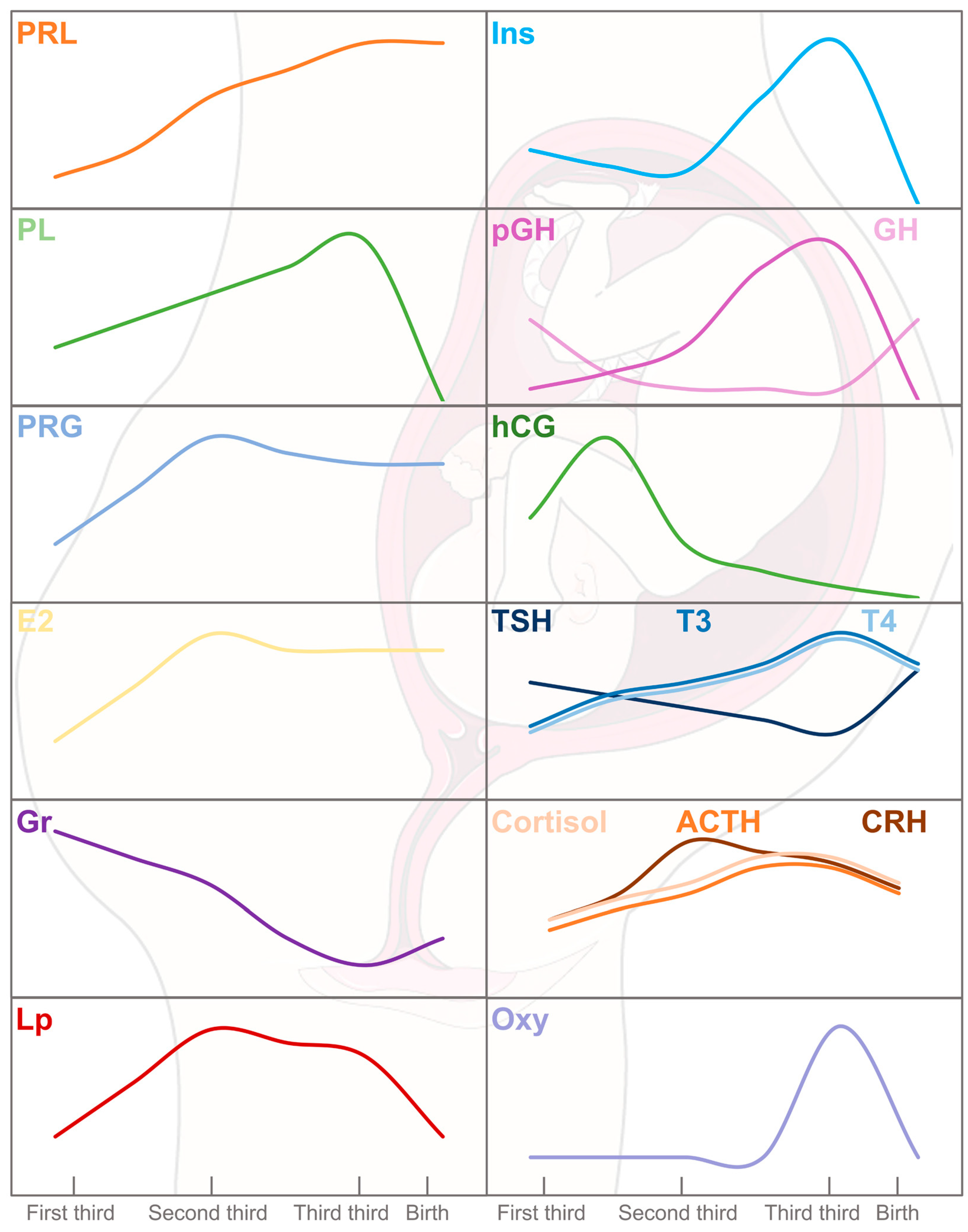 Nutrients 17 01519 g002