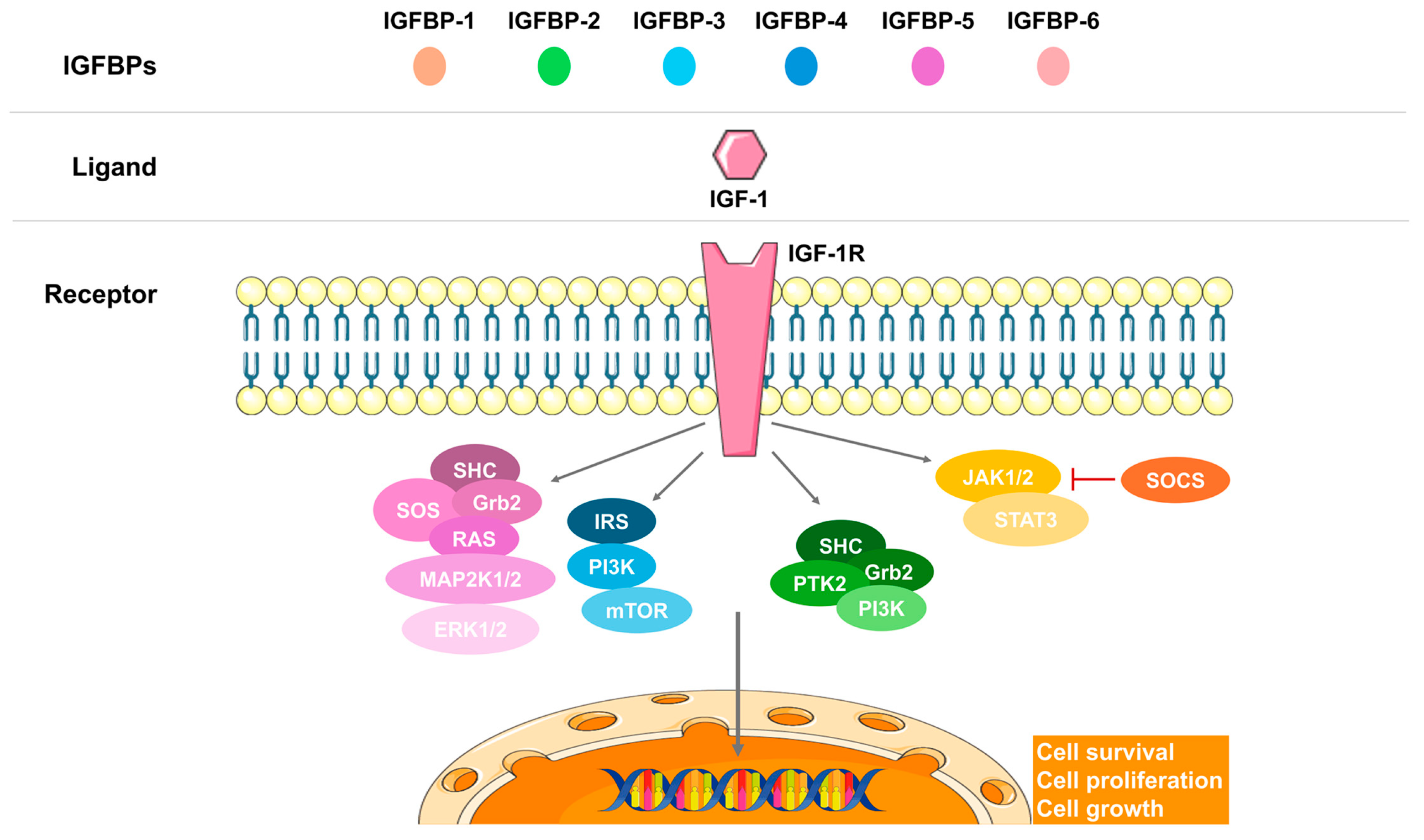 Nutrients 17 01519 g003