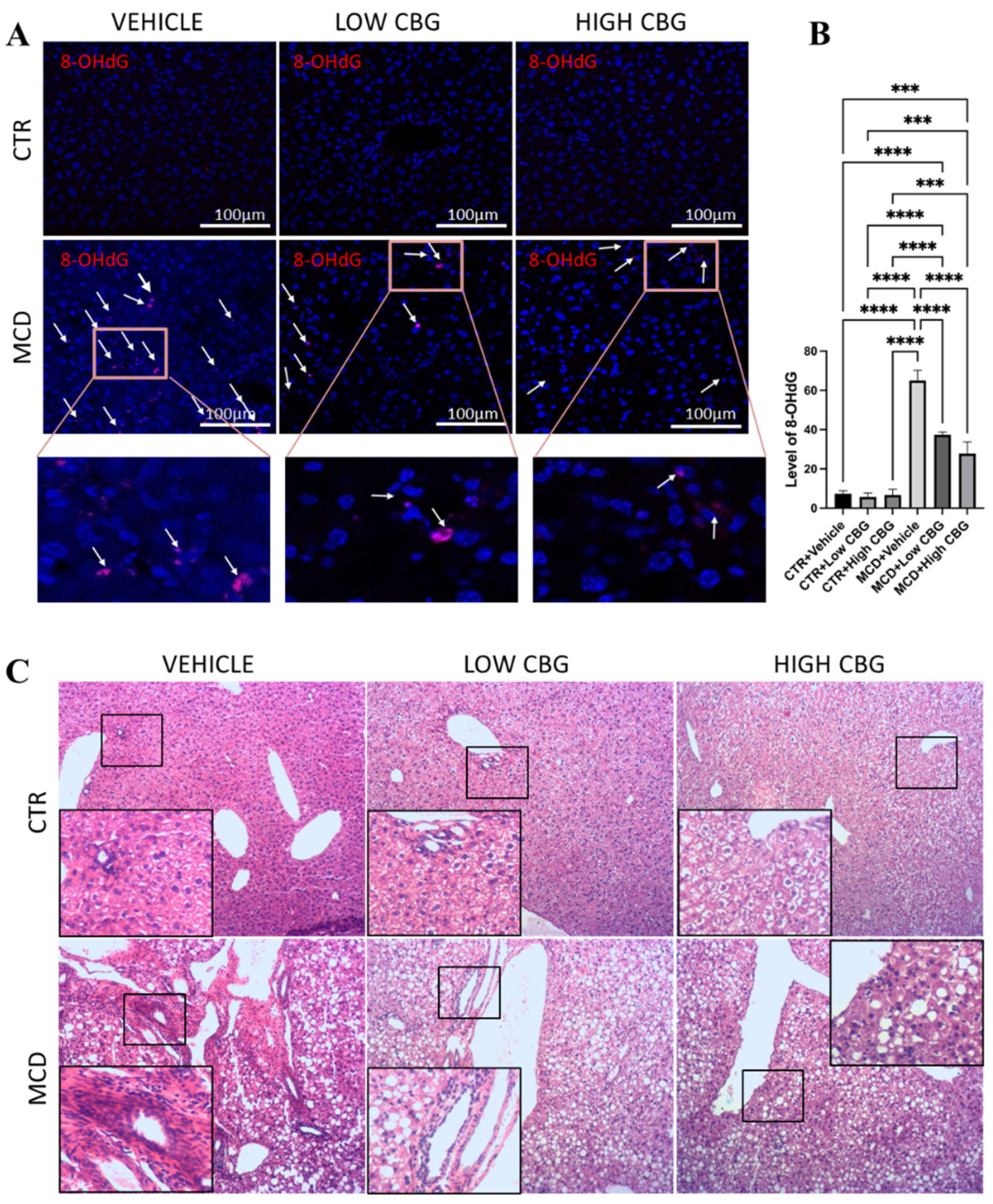 Nutrients 17 01524 g001