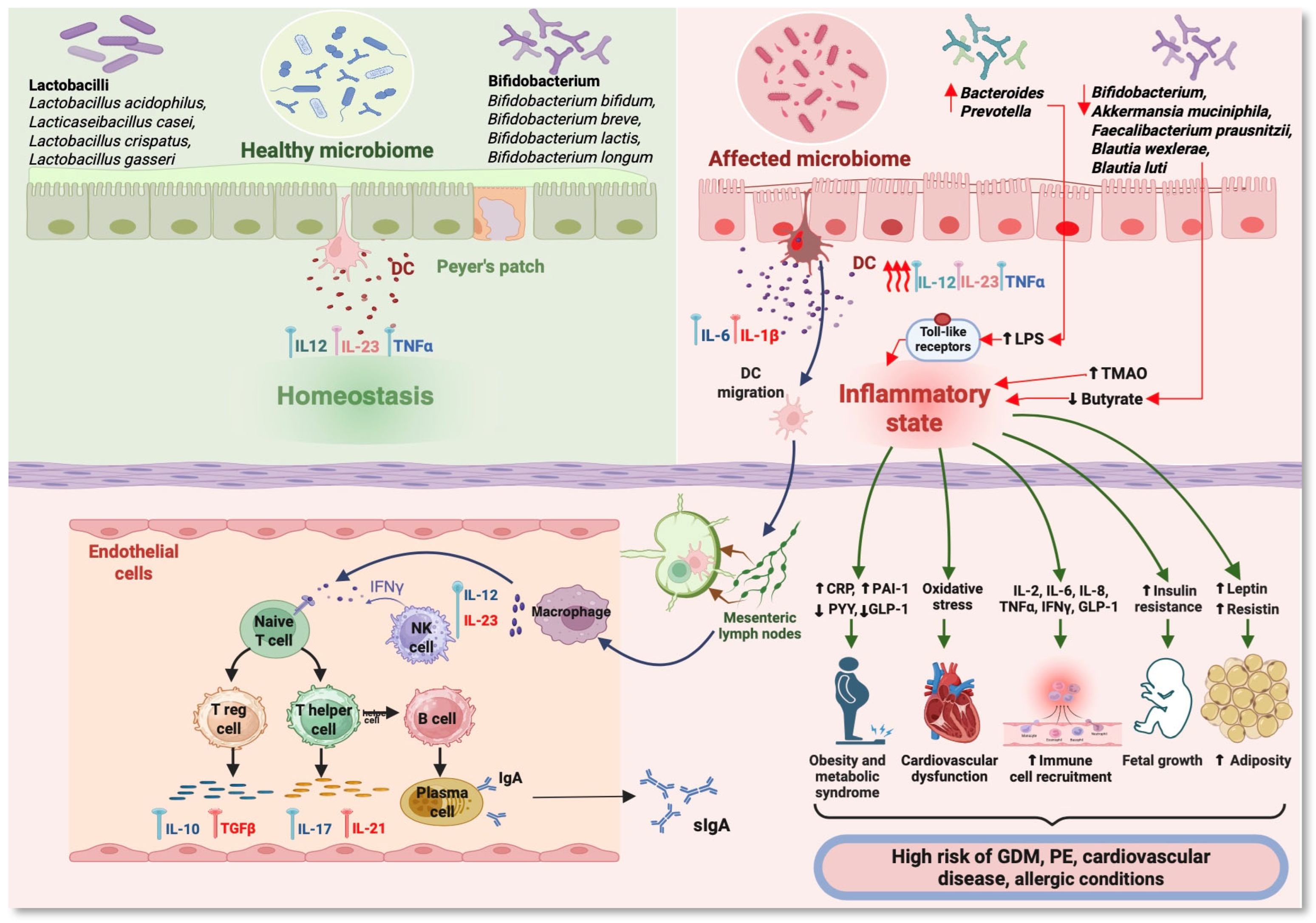 Nutrients 17 01535 g002