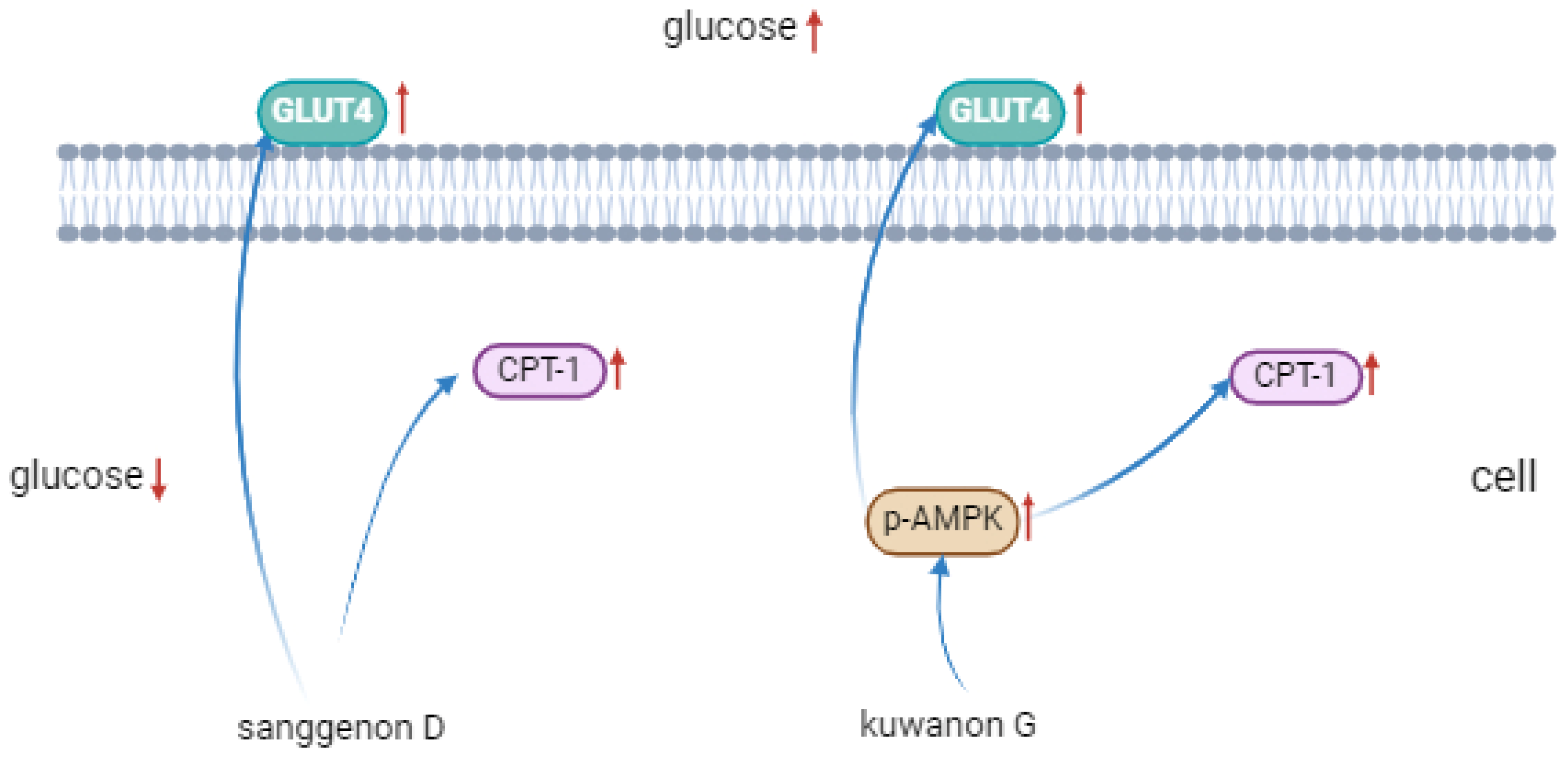 Nutrients 17 01539 g009