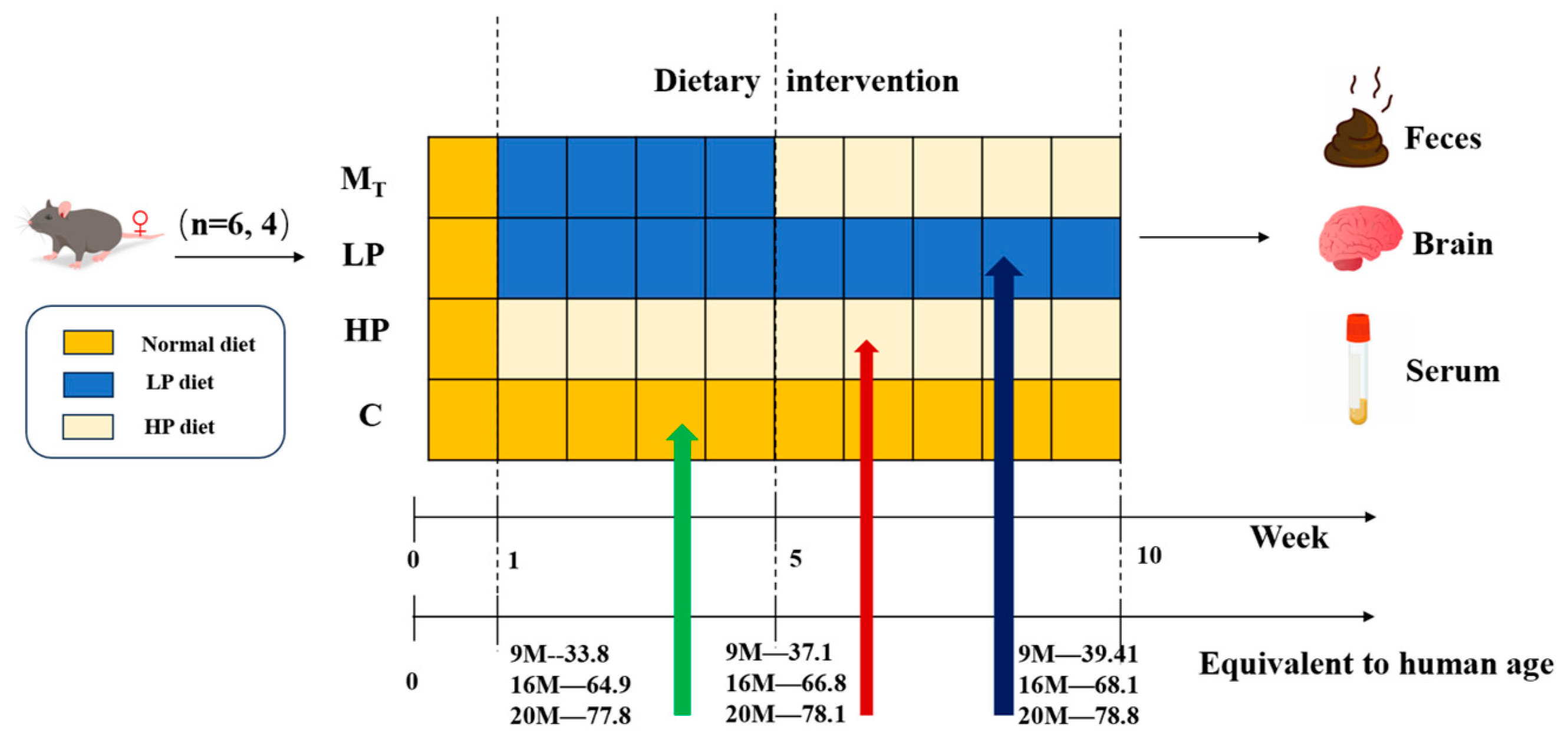 Nutrients 17 01542 g001