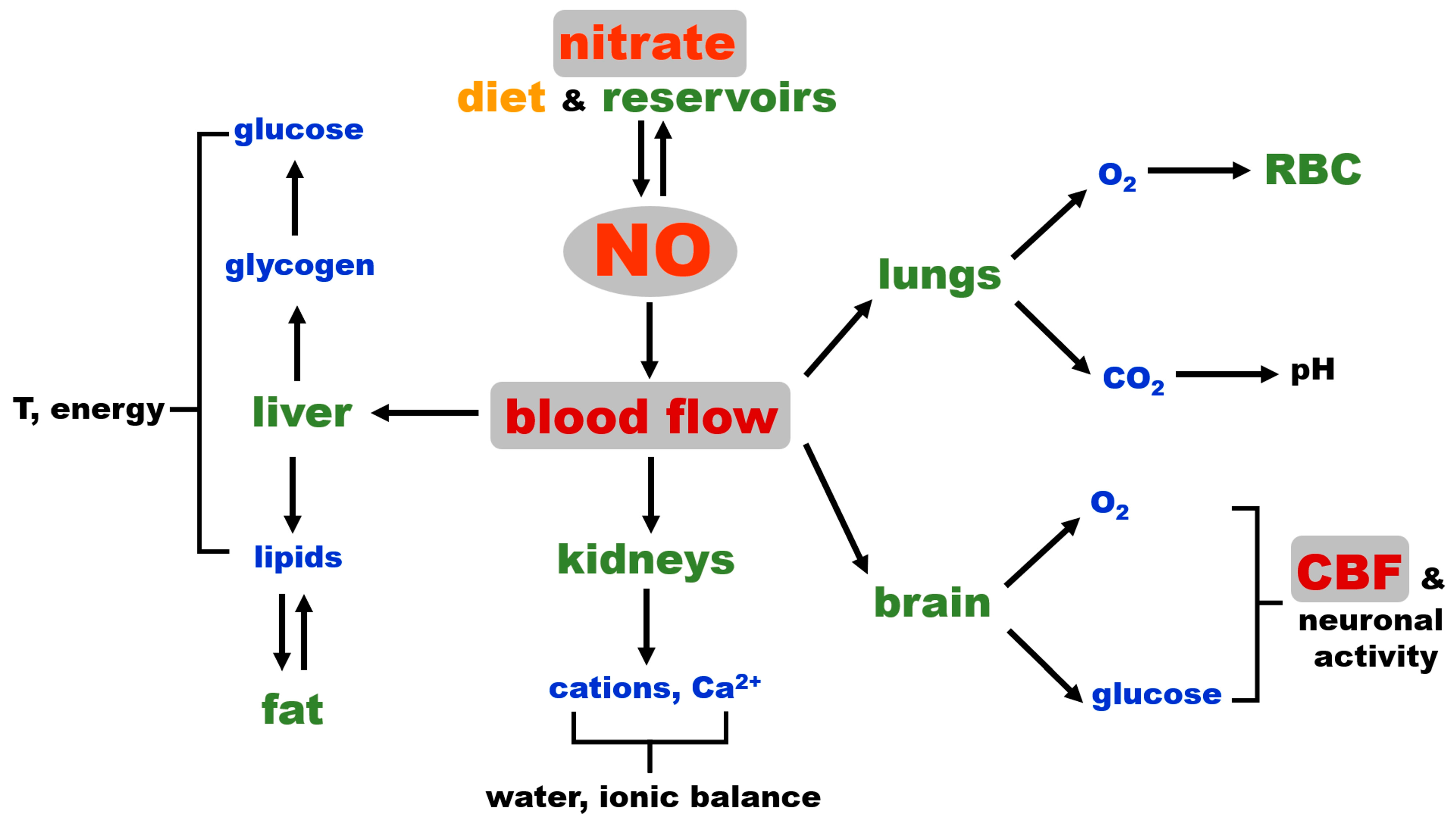 Nutrients 17 01544 g003