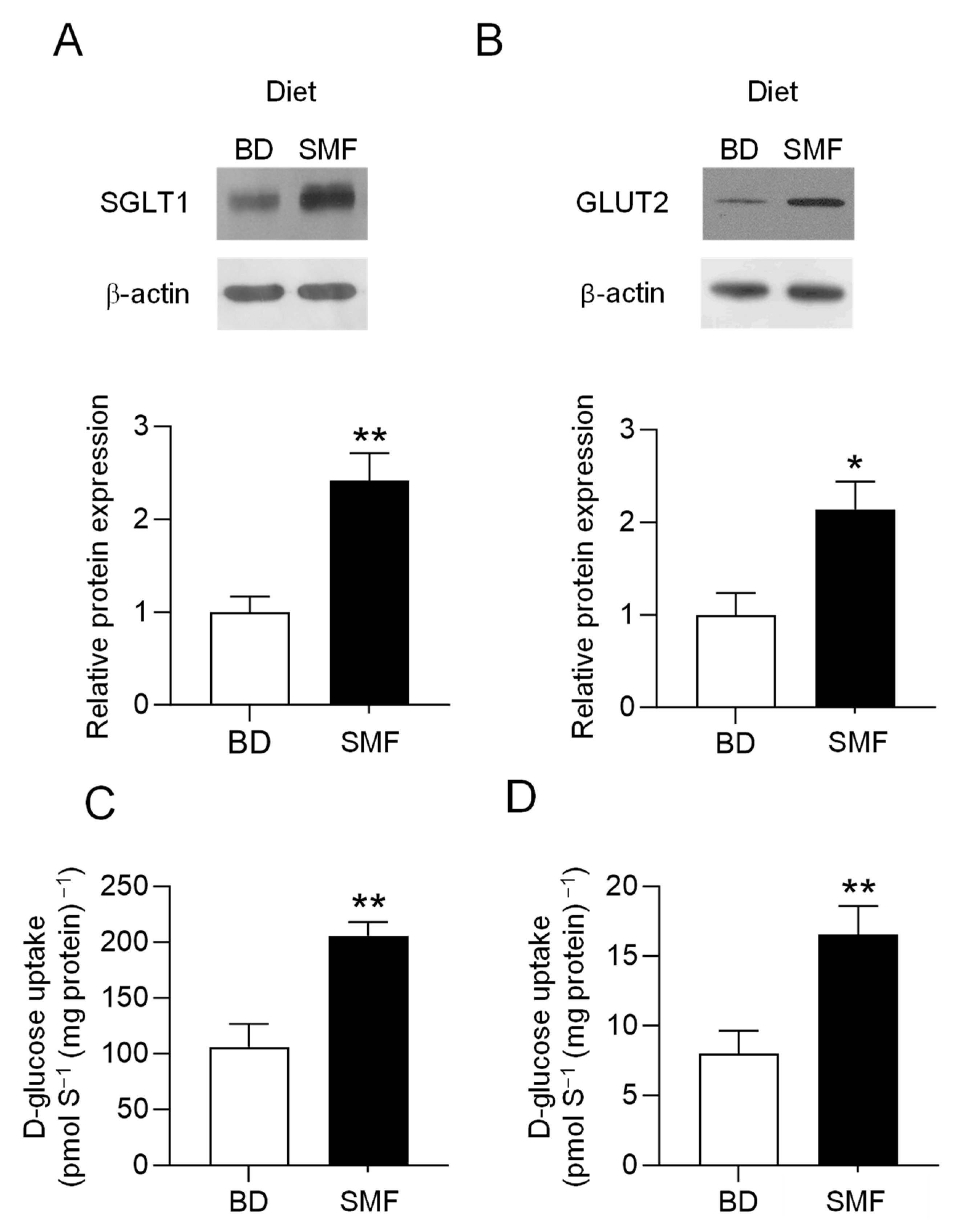 Nutrients 17 01547 g002