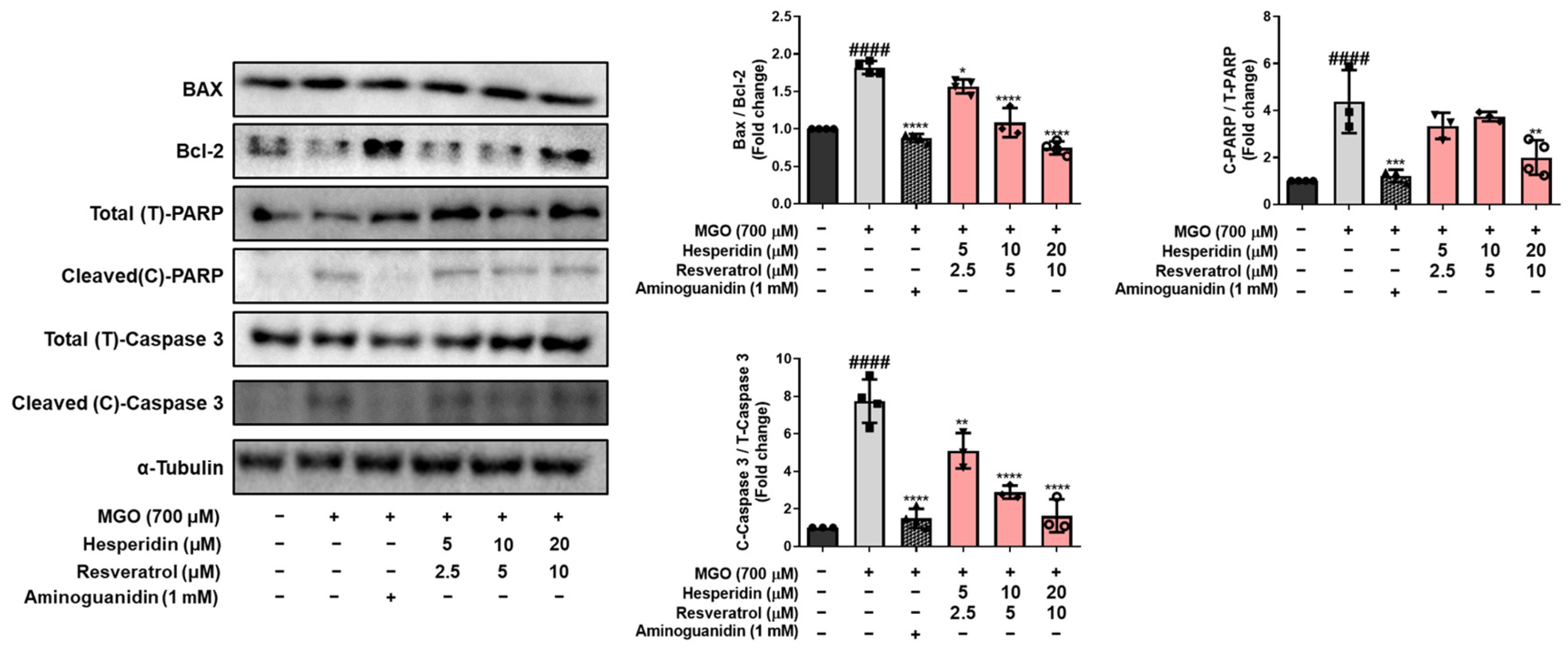 Nutrients 17 01548 g003
