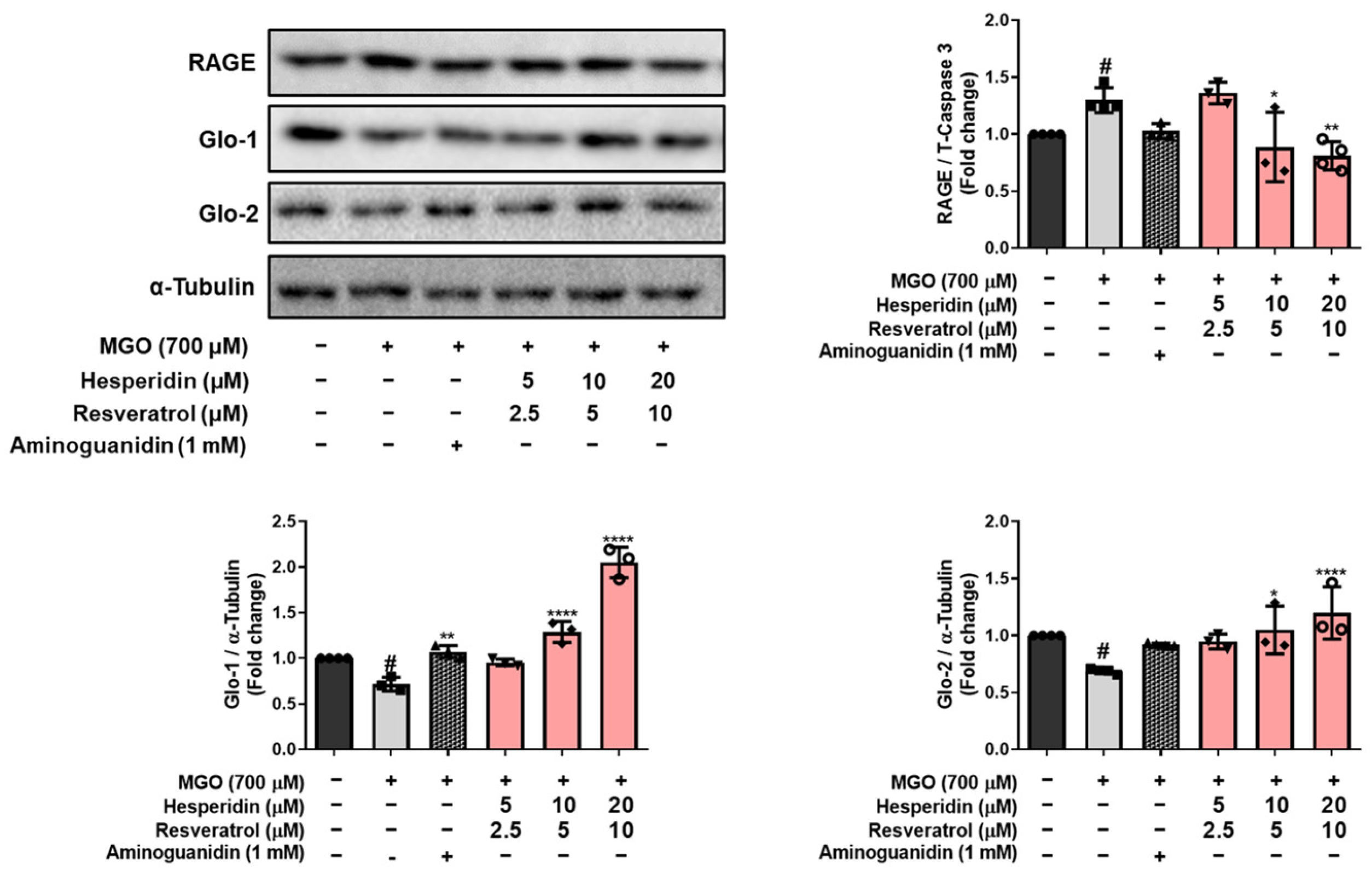 Nutrients 17 01548 g004