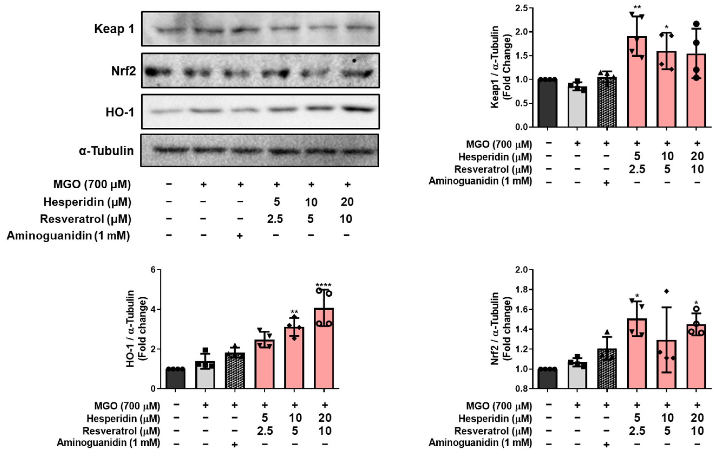 Nutrients 17 01548 g005