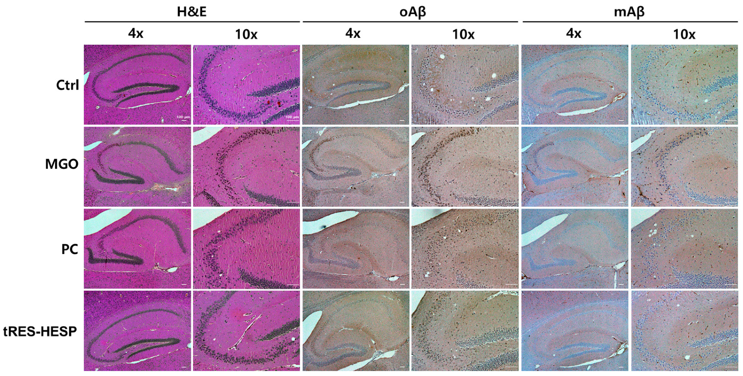 Nutrients 17 01548 g008