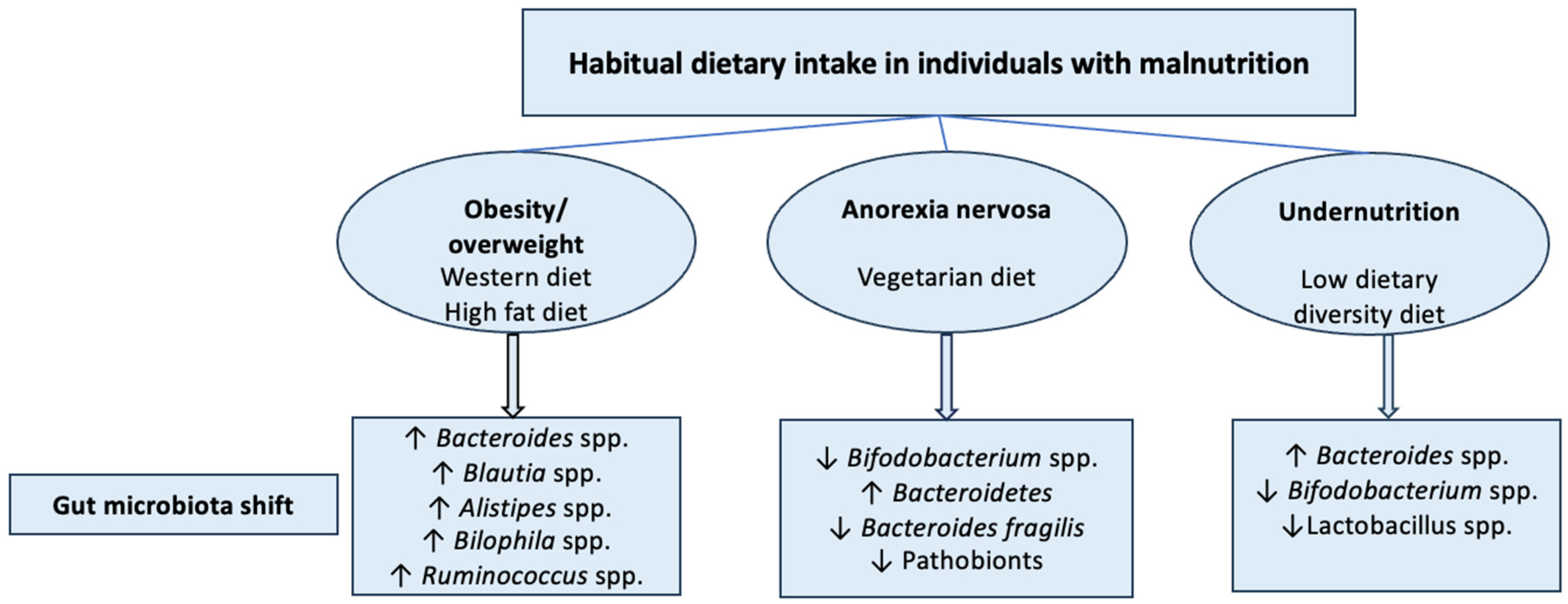 Nutrients 17 01551 g002