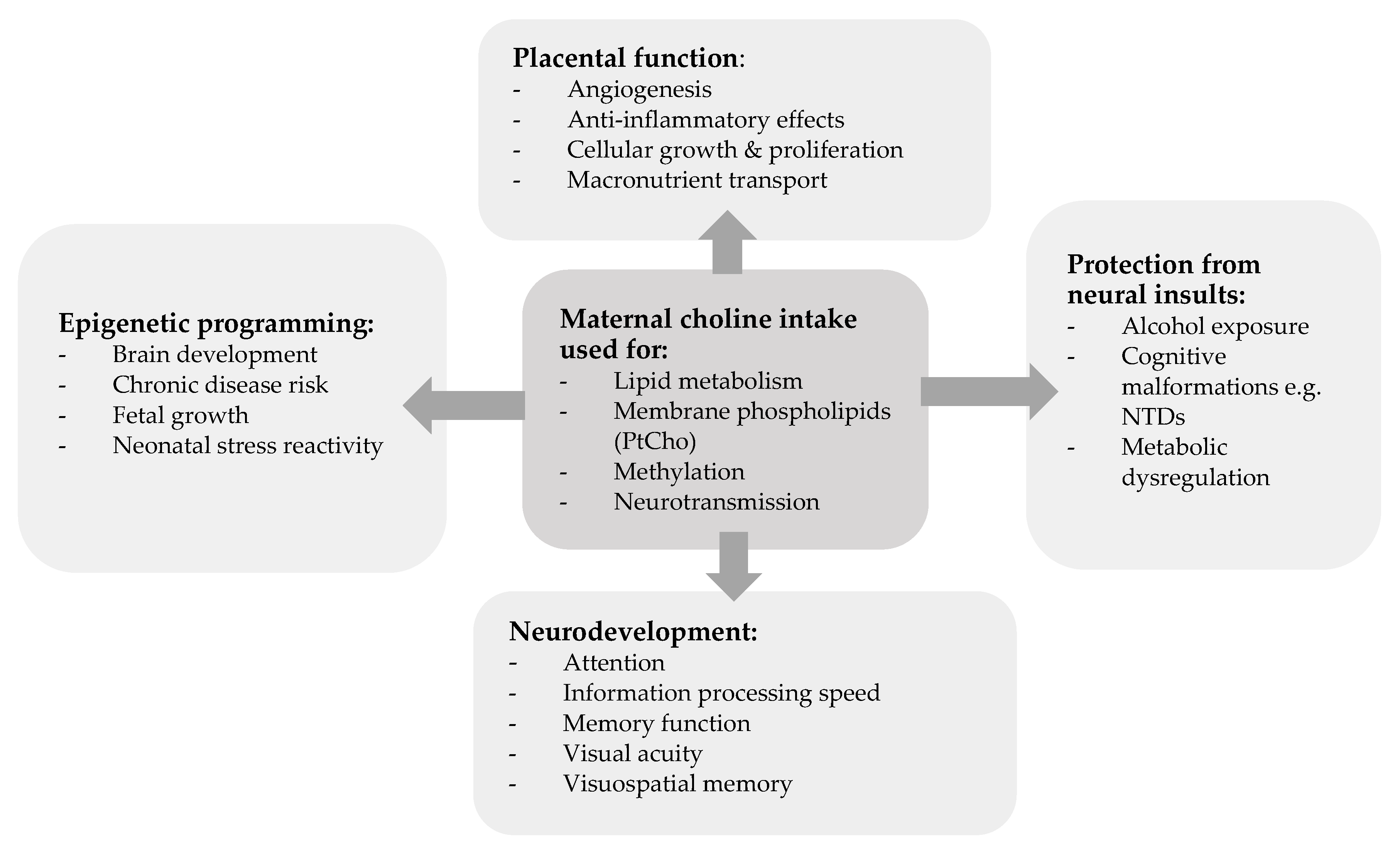 Nutrients 17 01558 g001