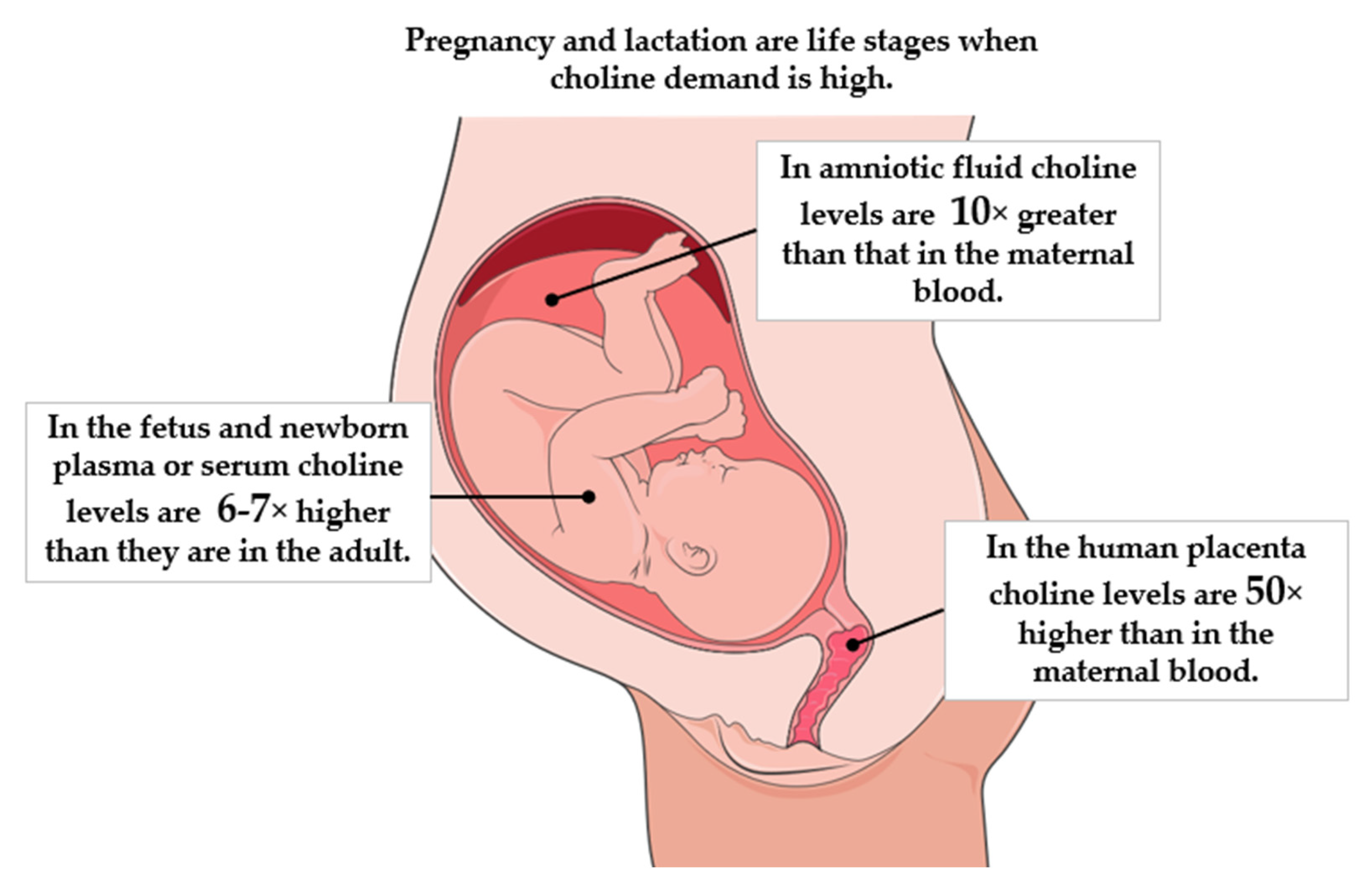 Nutrients 17 01558 g002